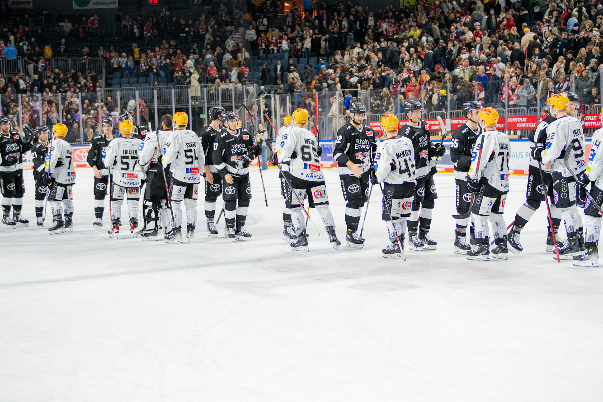 Koelner Haie gratulieren den Bremerhaven Fischtown Pinguins; DEL Kölner Haie - Bremerhaven Fischtown Pinguins, 01.11.2023