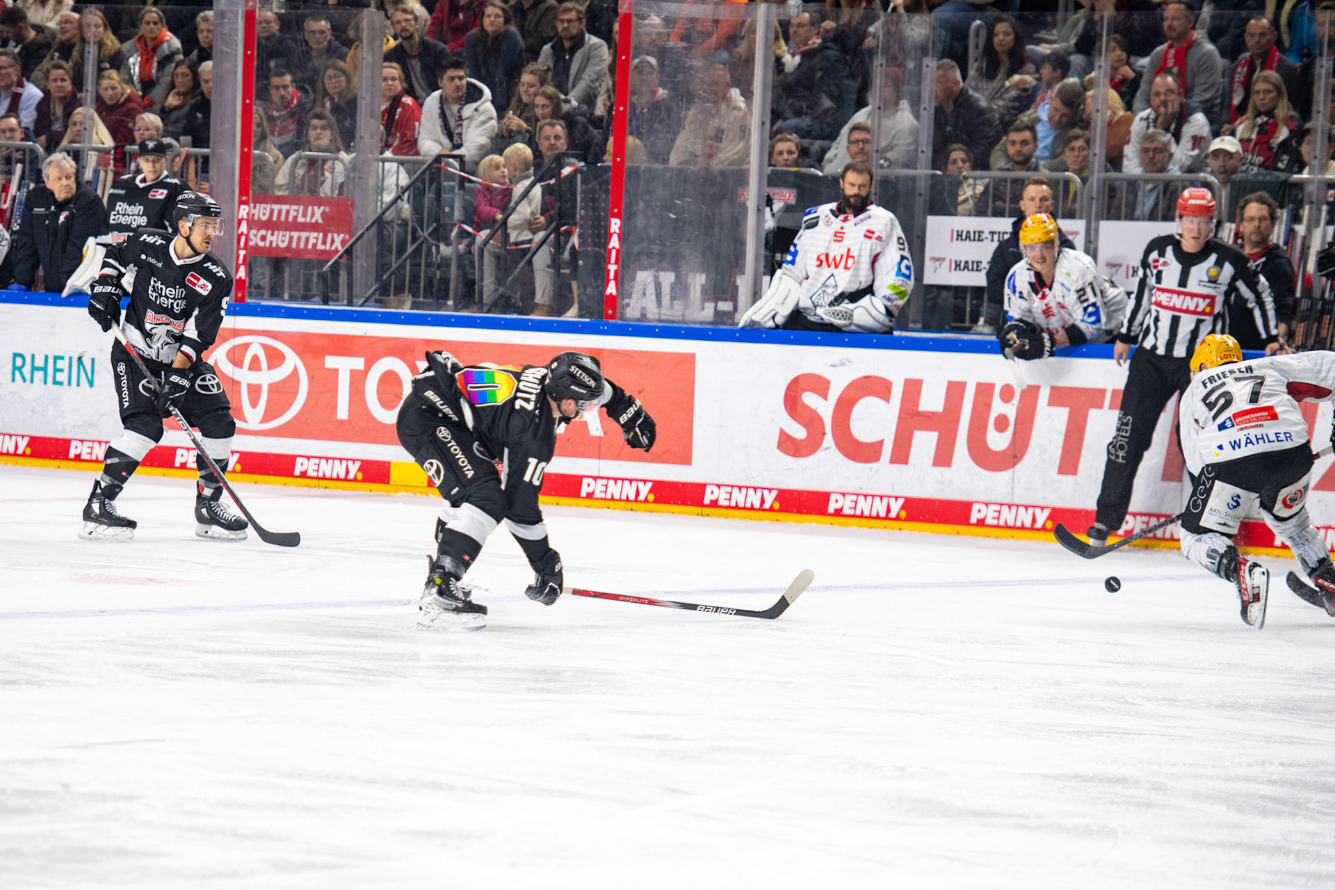 Justin Schuetz; DEL Kölner Haie - Bremerhaven Fischtown Pinguins, 01.11.2023