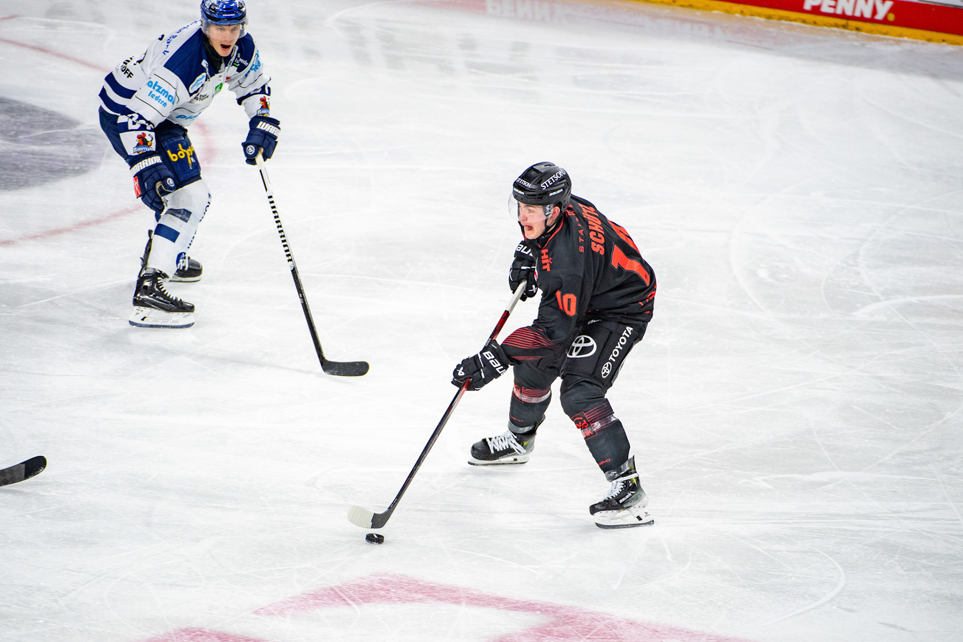 Justin Schütz; DEL Kölner Haie - Iserlohn Roosters, 13.02.2024