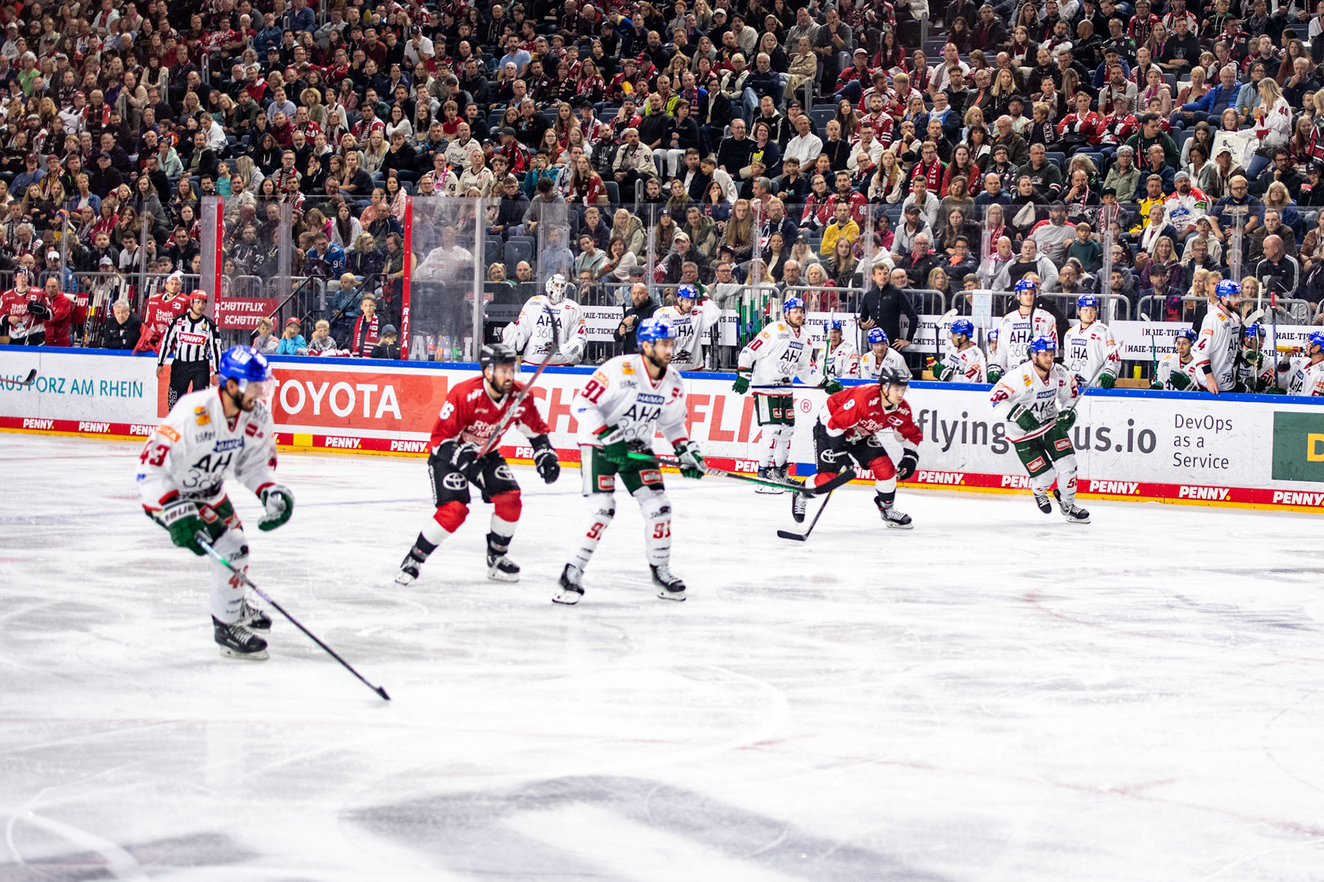 Luke Esposito Augsburger Panther; DEL Kölner Haie - Augsburger Panther, 03.10.2023