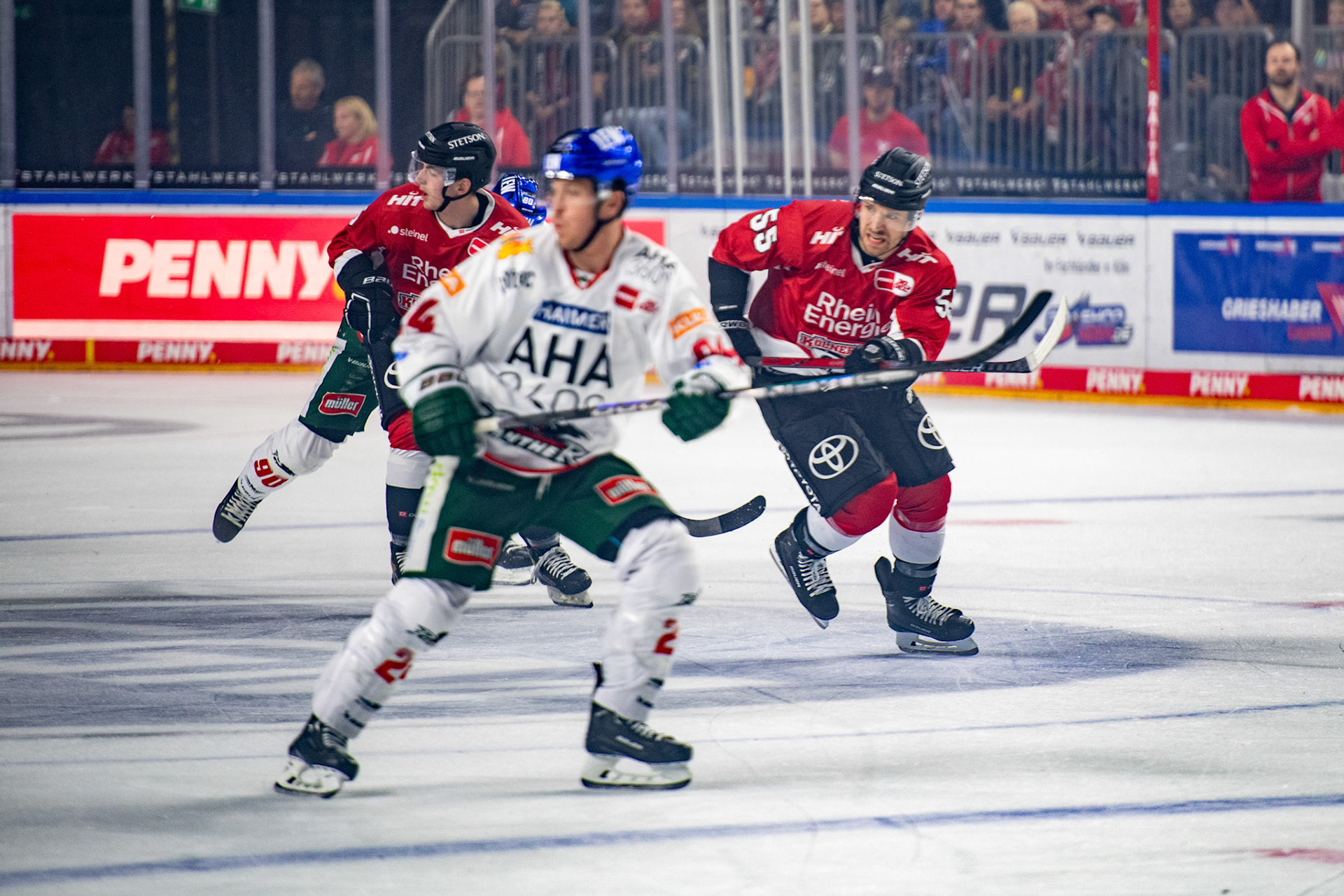 Carter Proft; DEL Kölner Haie - Augsburger Panther, 03.10.2023