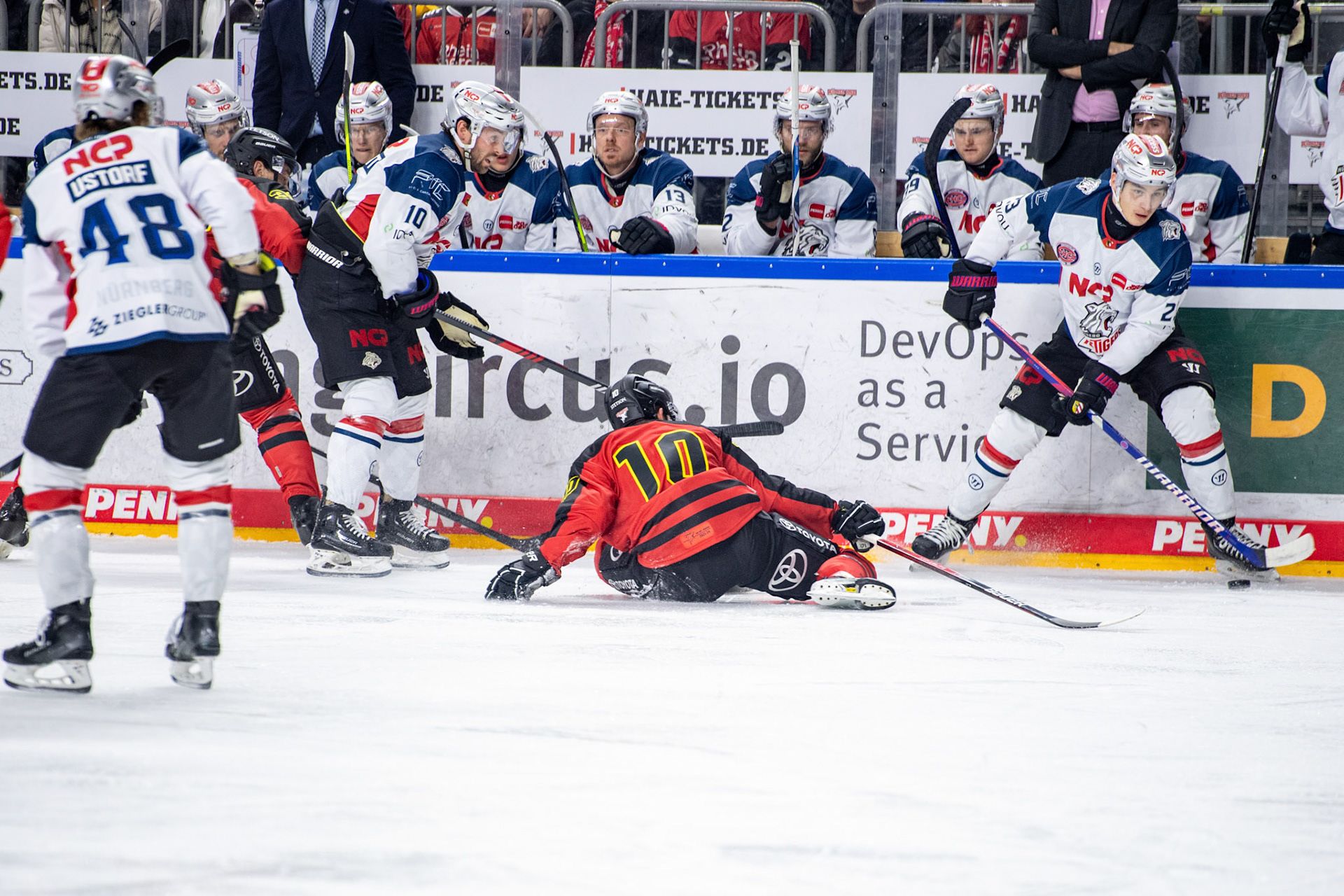 Justin Schuetz; DEL Kölner Haie - Nürnberg Ice Tigers, 17.12.2023