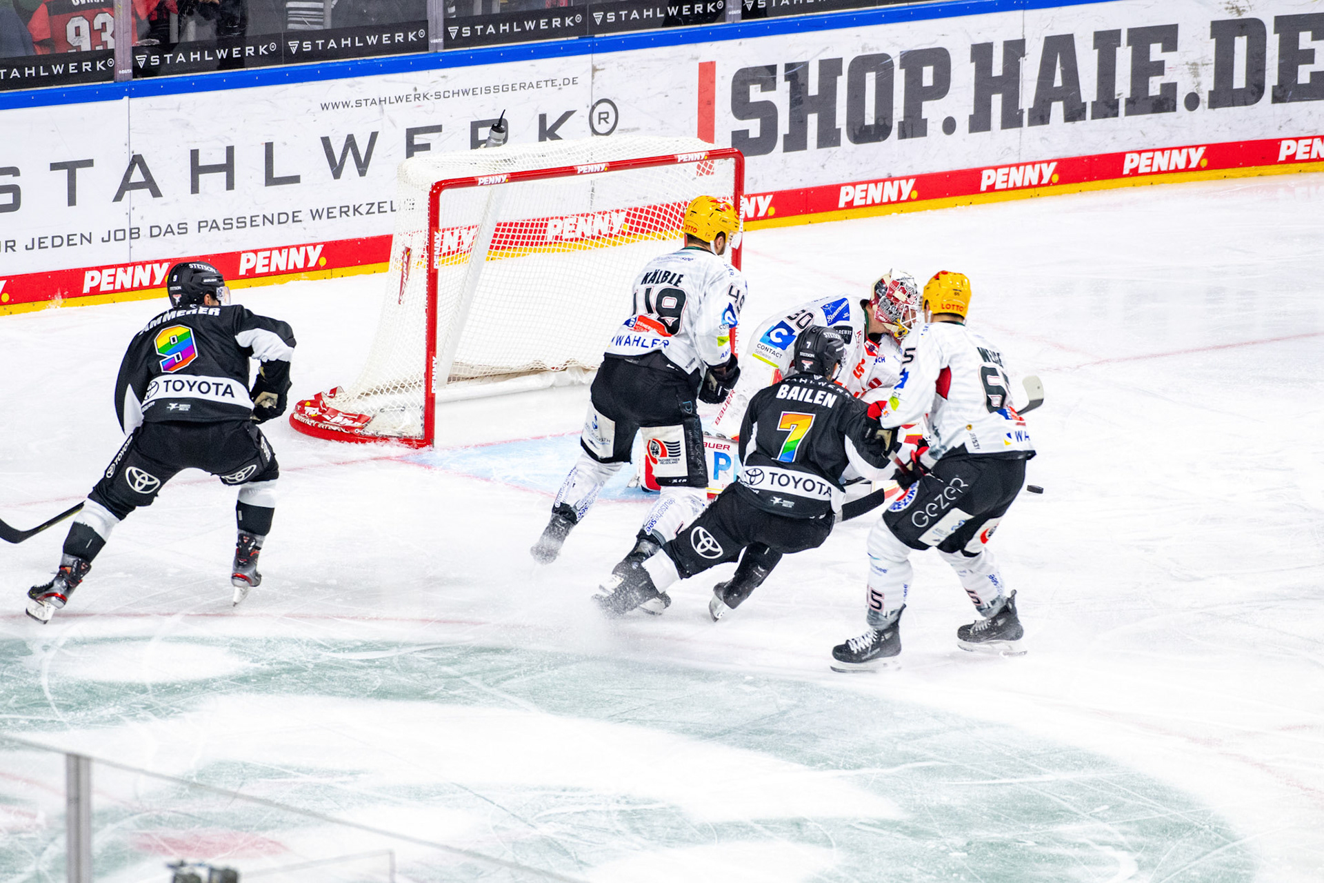 Nicholas Bailen; DEL Kölner Haie - Bremerhaven Fischtown Pinguins, 01.11.2023