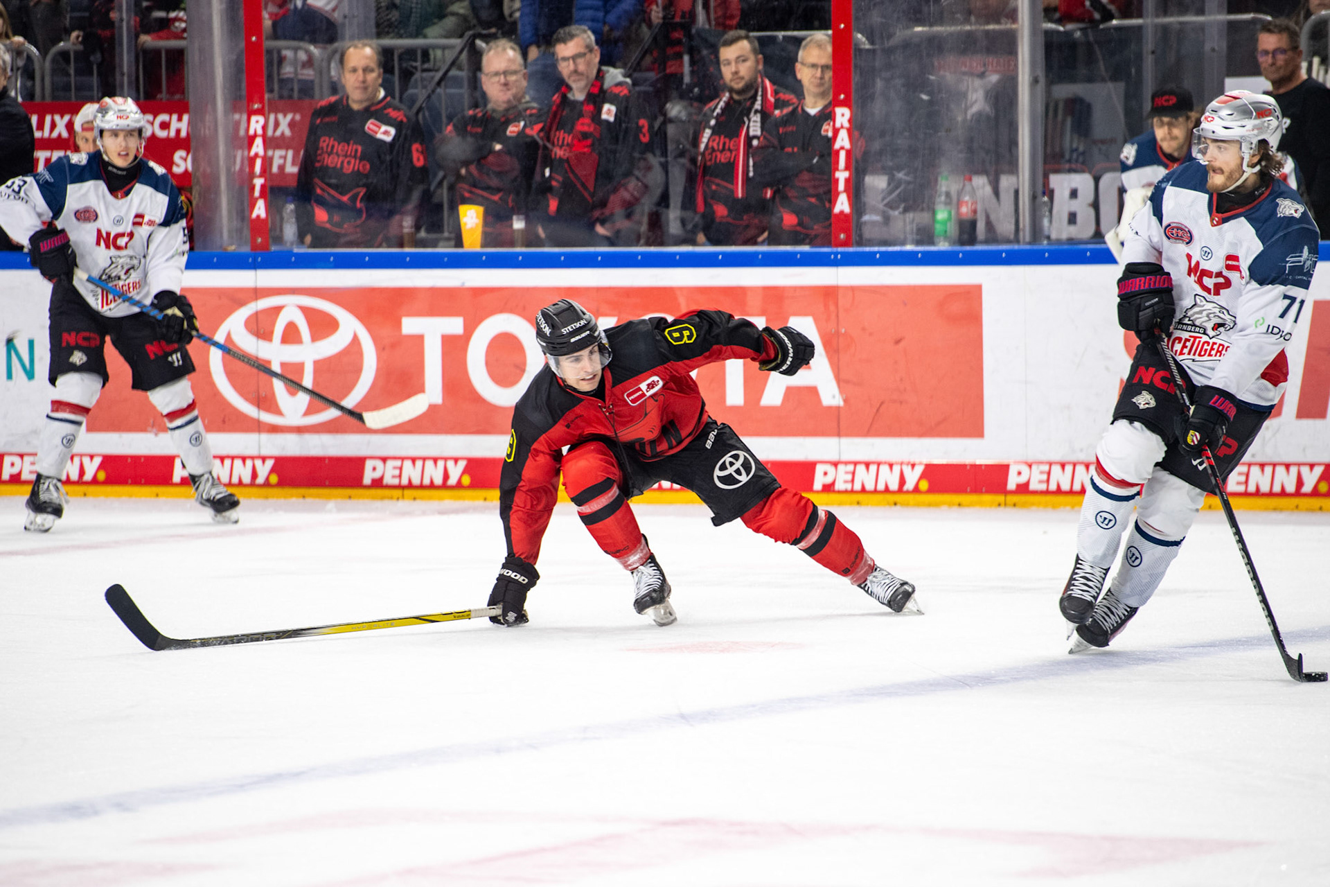 Maximilian Kammerer; DEL Kölner Haie - Nürnberg Ice Tigers, 17.12.2023