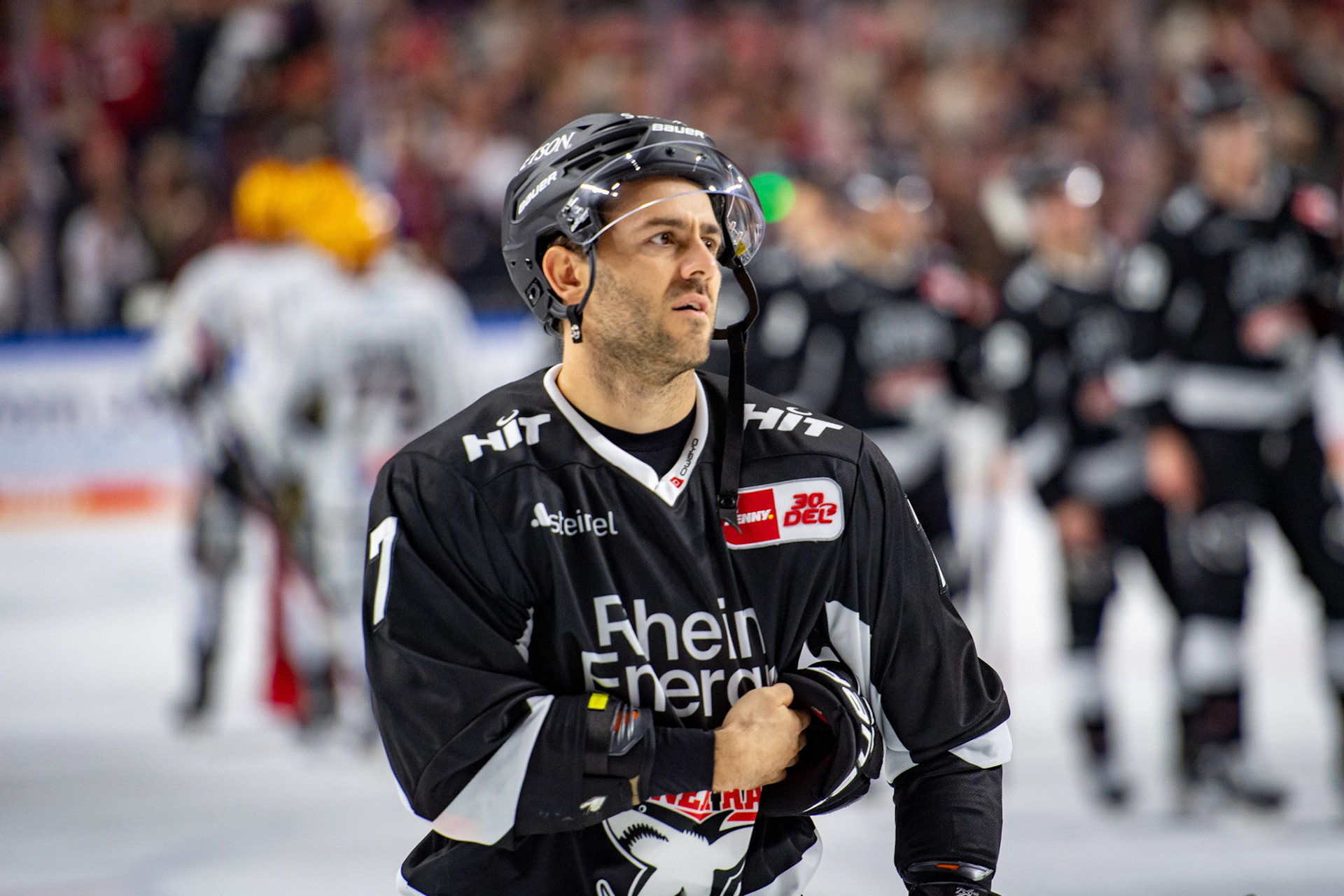 Nicholas Bailen; DEL Kölner Haie - Bremerhaven Fischtown Pinguins, 01.11.2023