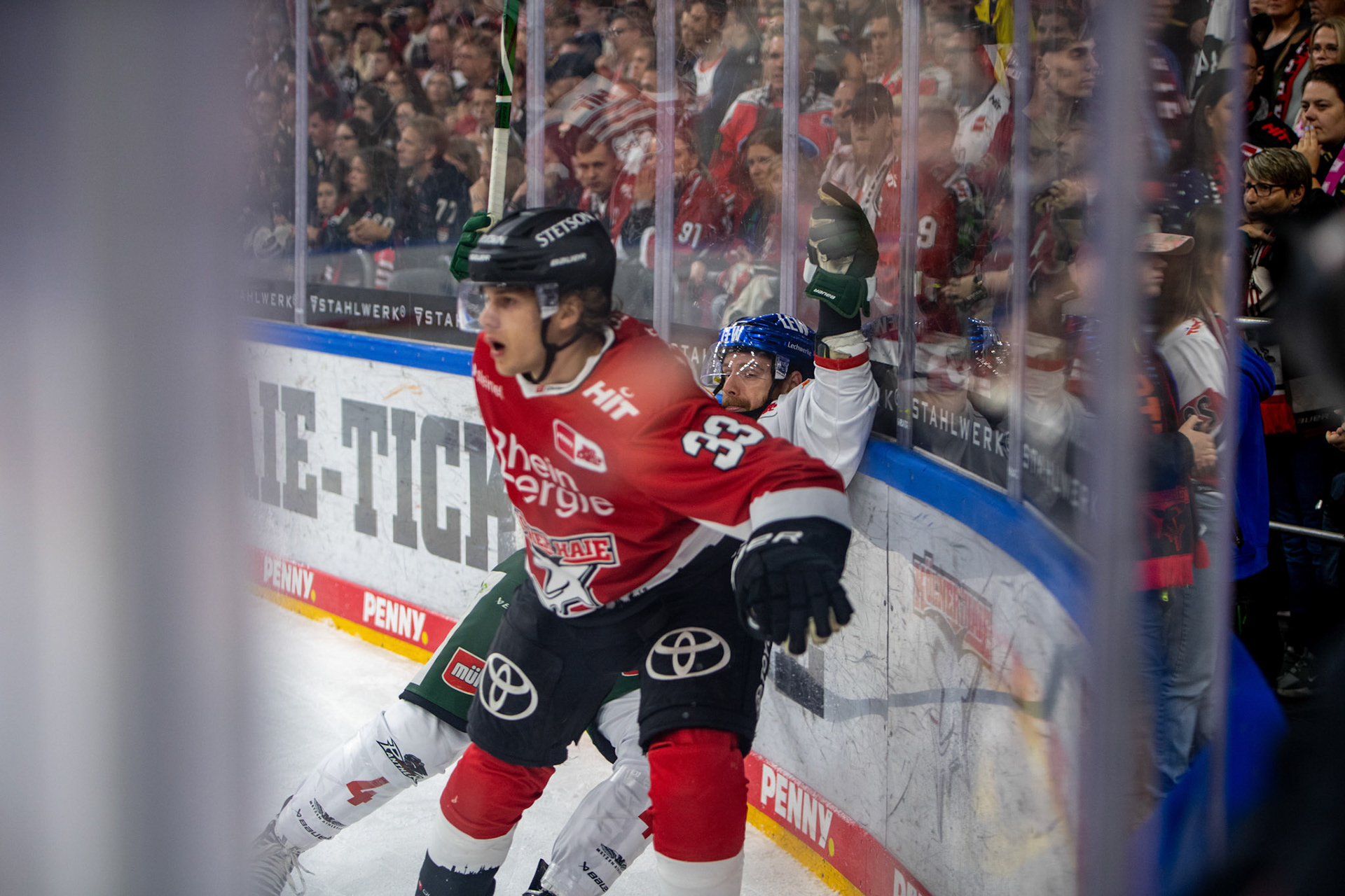 Tim Wohlgemuth; DEL Kölner Haie - Augsburger Panther, 03.10.2023