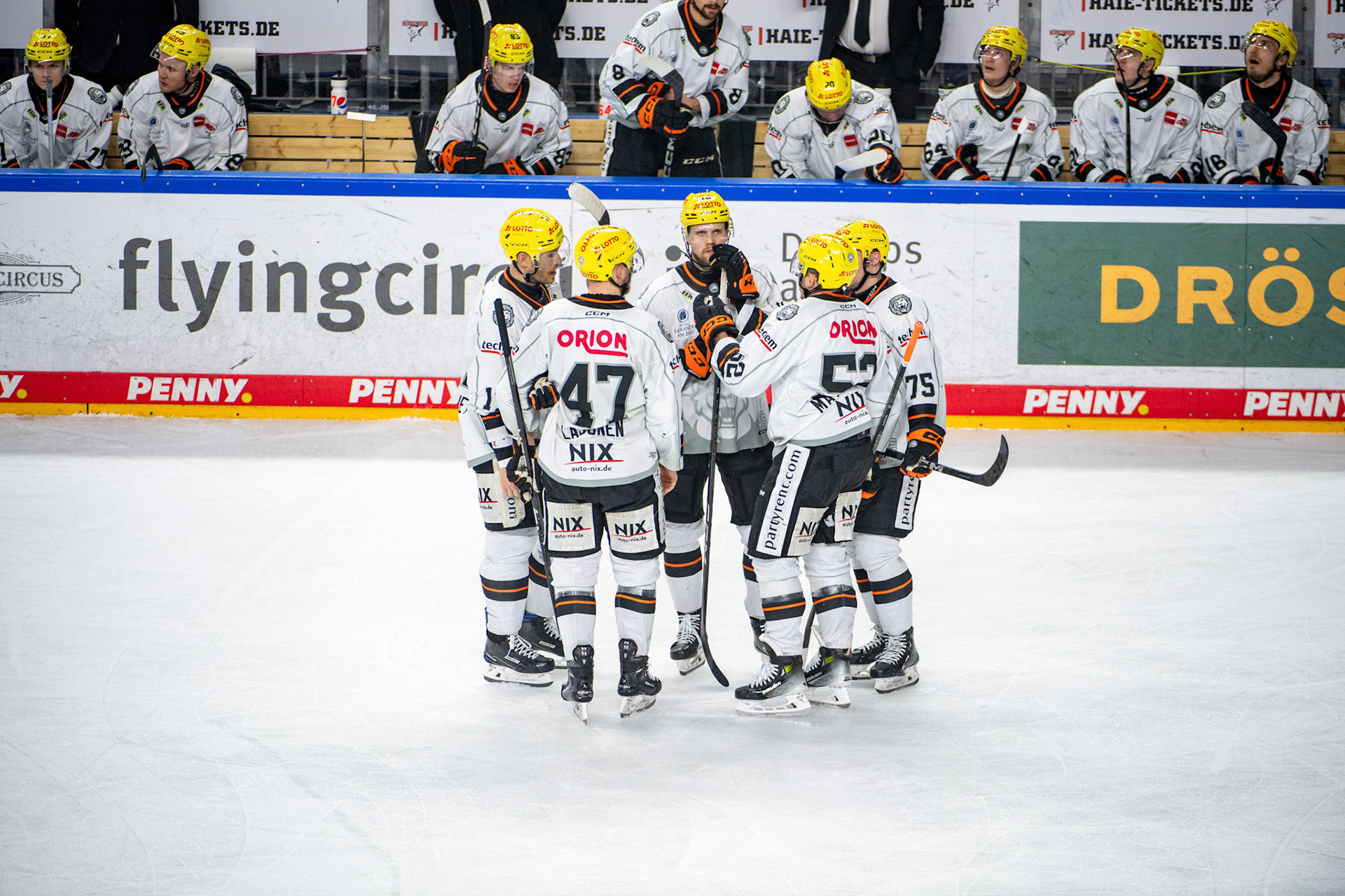 Frankfurter Löwen; DEL Kölner Haie - Frankfurter Löwen, 16.02.2024