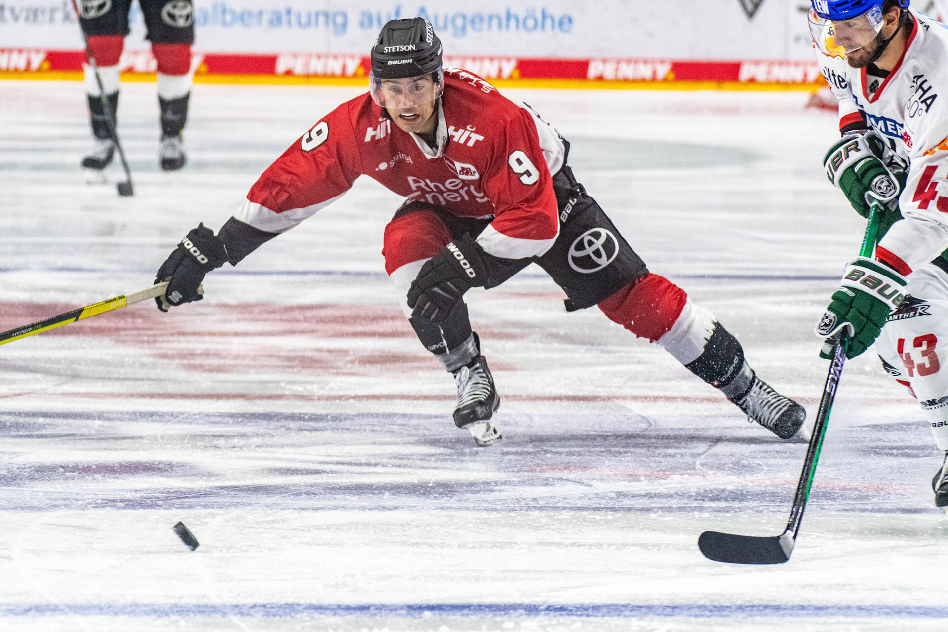 Maximilian Kammerer; DEL Kölner Haie - Augsburger Panther, 03.10.2023