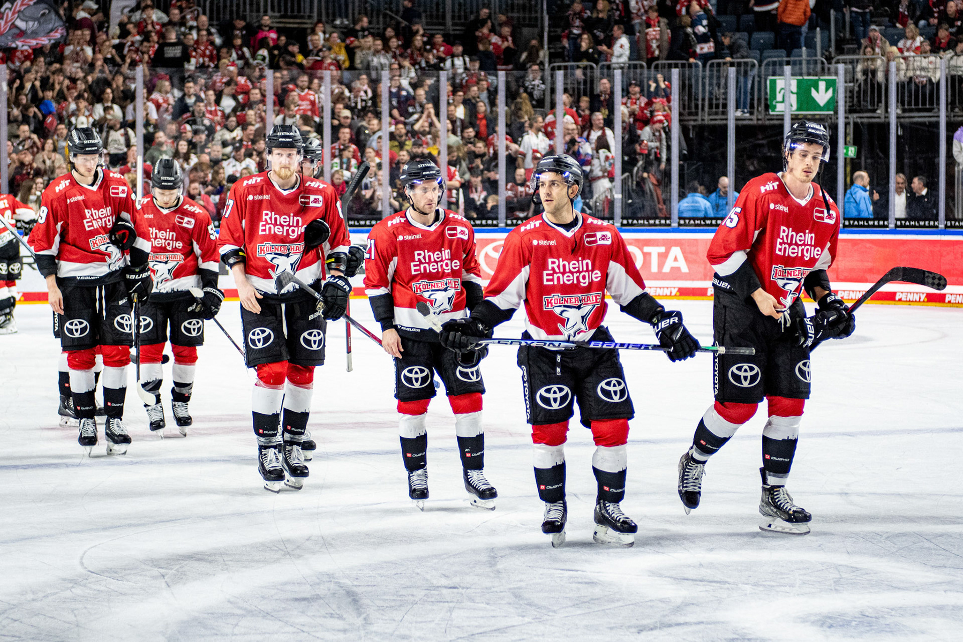 Koelner Haie; DEL Kölner Haie - EHC Red Bull München, 27.10.2023
