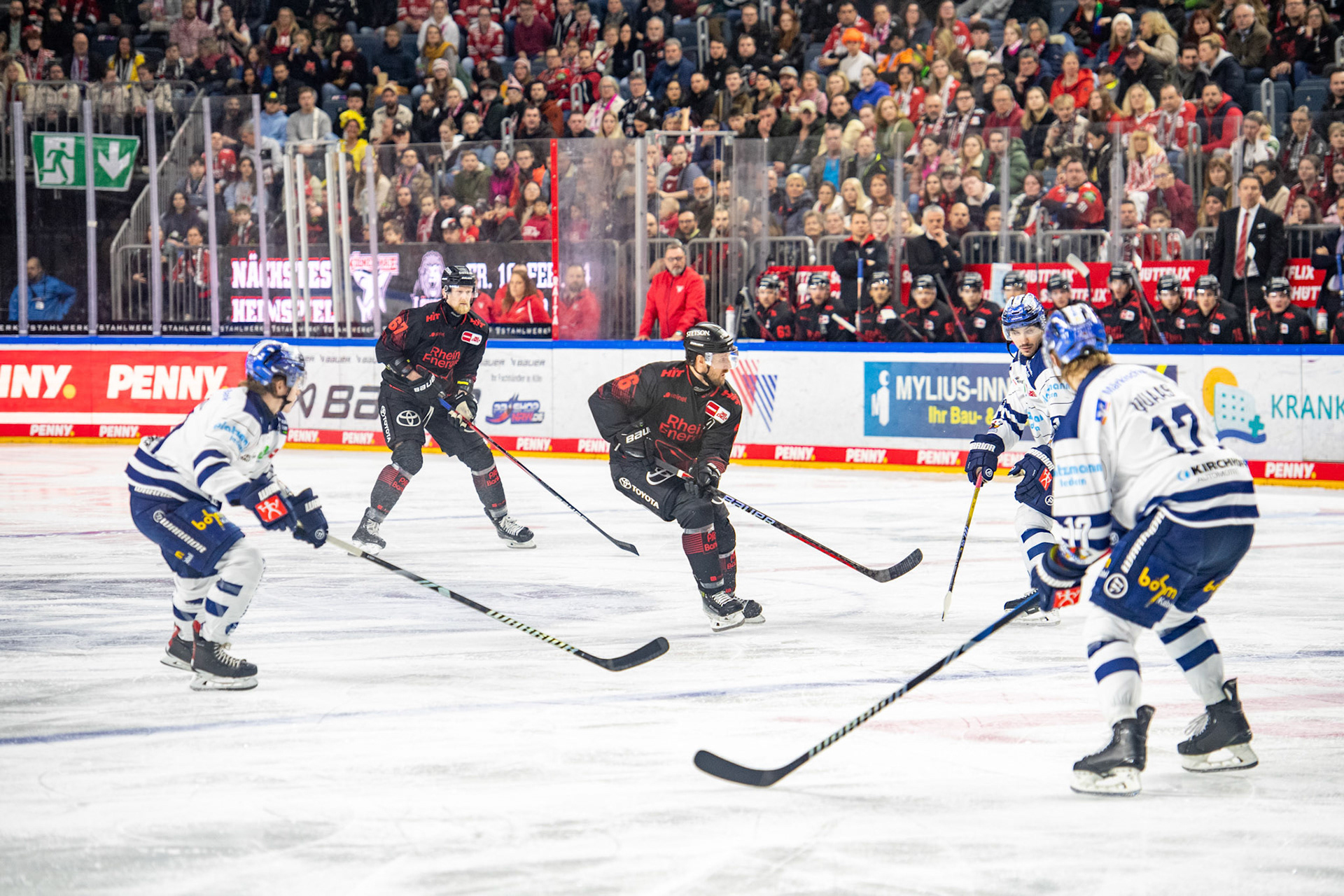 David Mcintyre, Stanislav DietzEmil Quaas; DEL Kölner Haie - Iserlohn Roosters, 13.02.2024