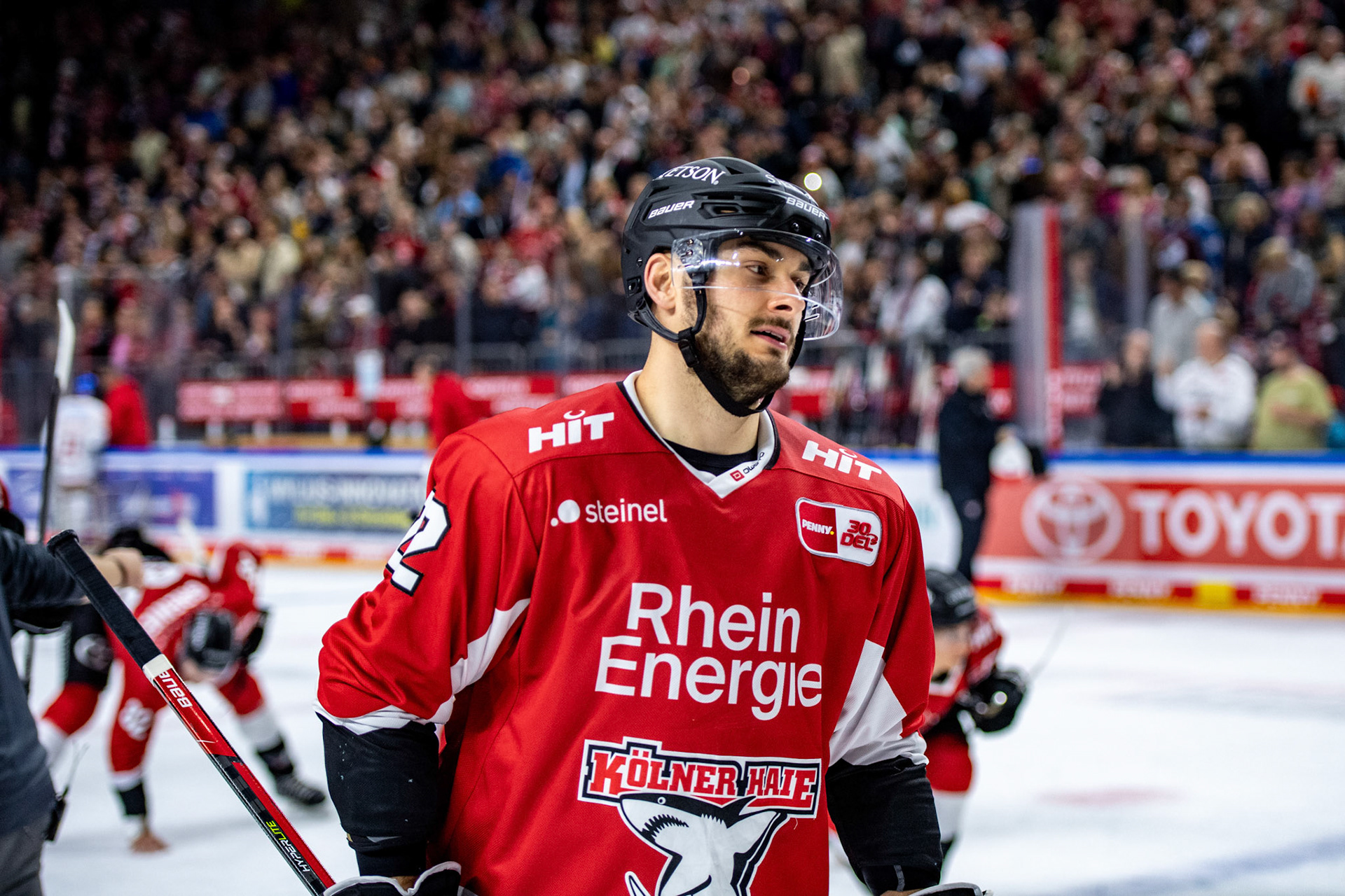 Maximilian Gloetzl; DEL Kölner Haie - Augsburger Panther, 03.10.2023