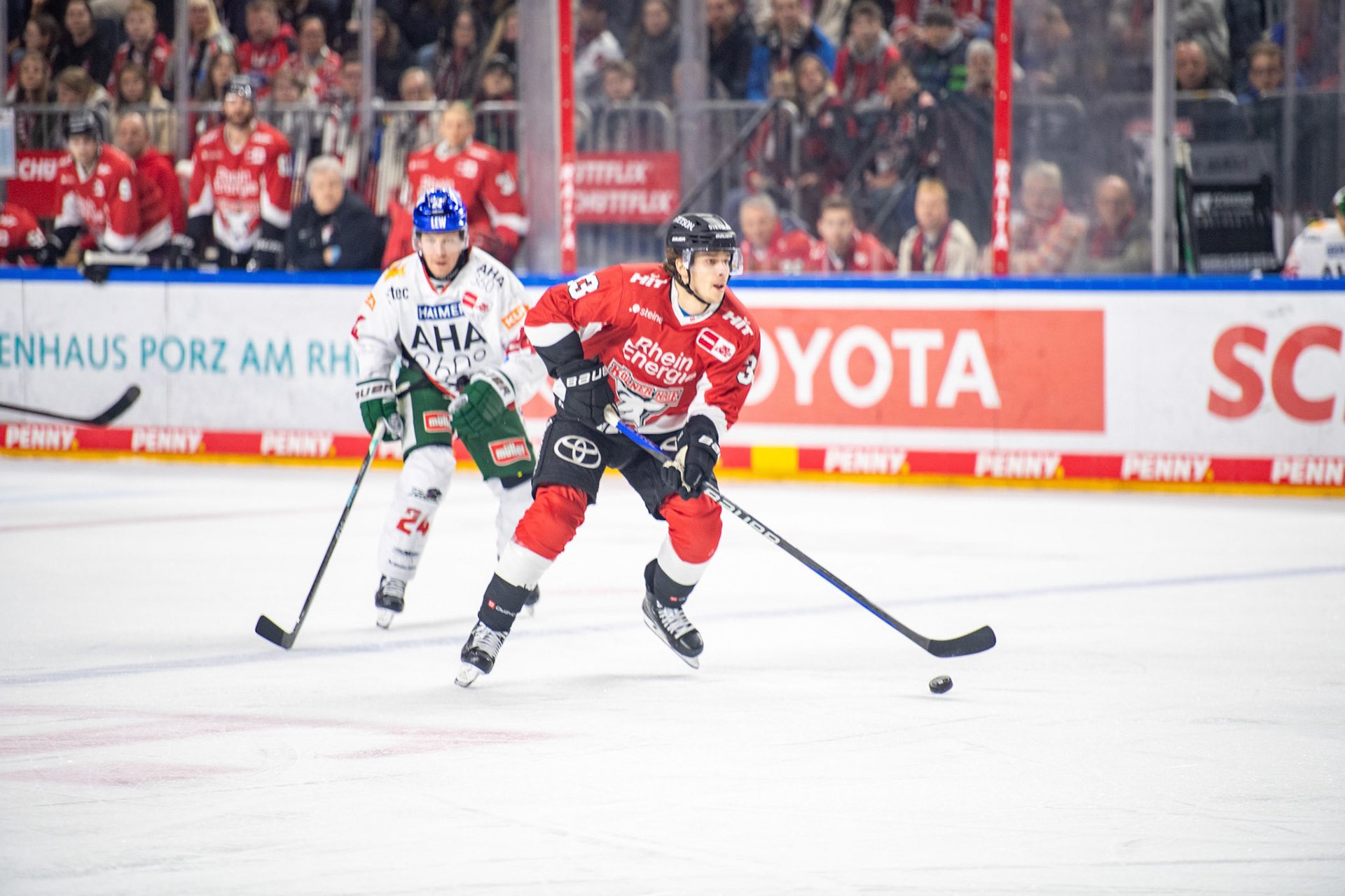 Tim Wohlgemuth; DEL Kölner Haie - Augsburger Panther, 19.11.2023