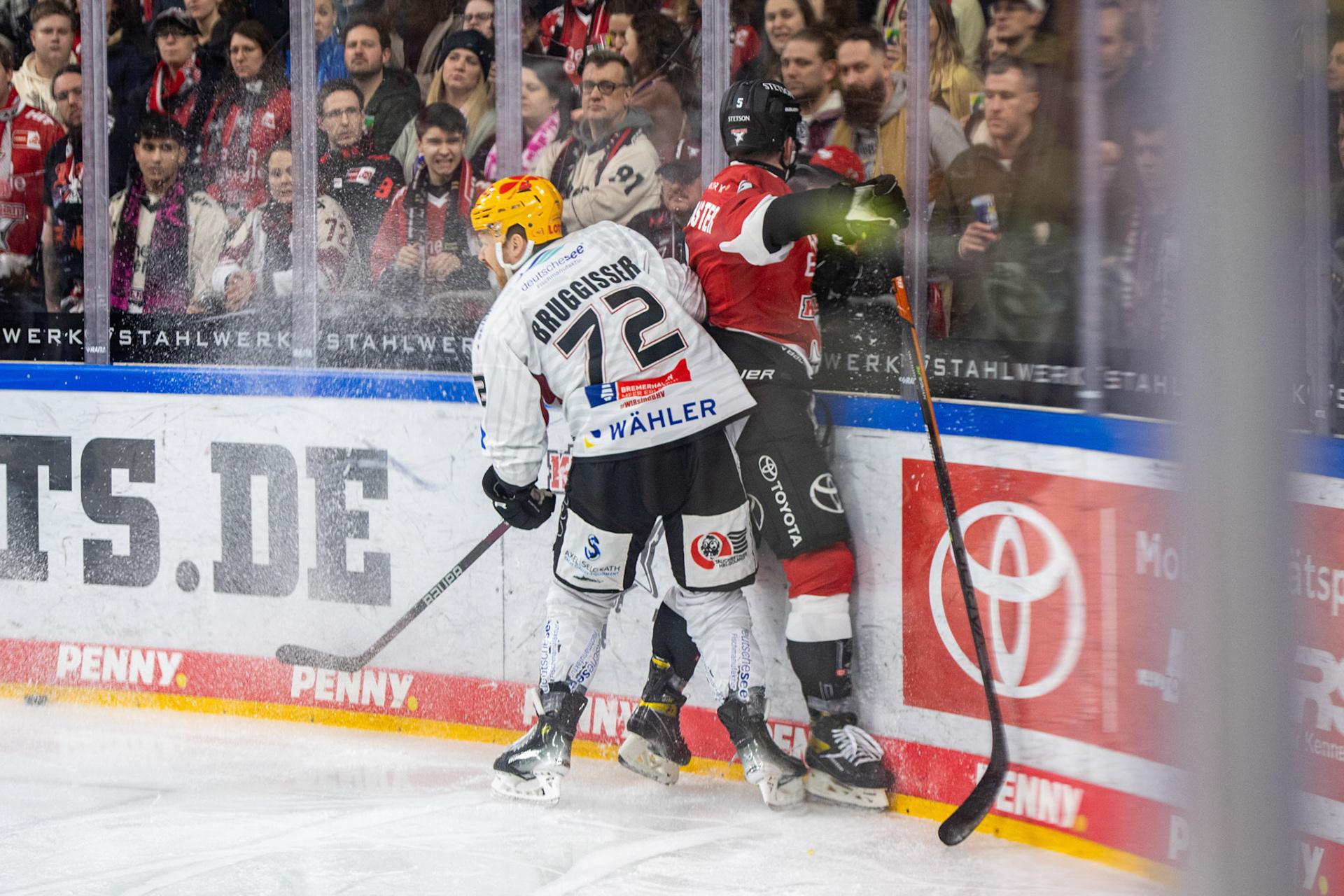 Phillip Bruggisser im Zweikampf mit Robin van Calster; DEL Kölner Haie - Fishtown Pinguins Bremerhaven, 30.01.2024