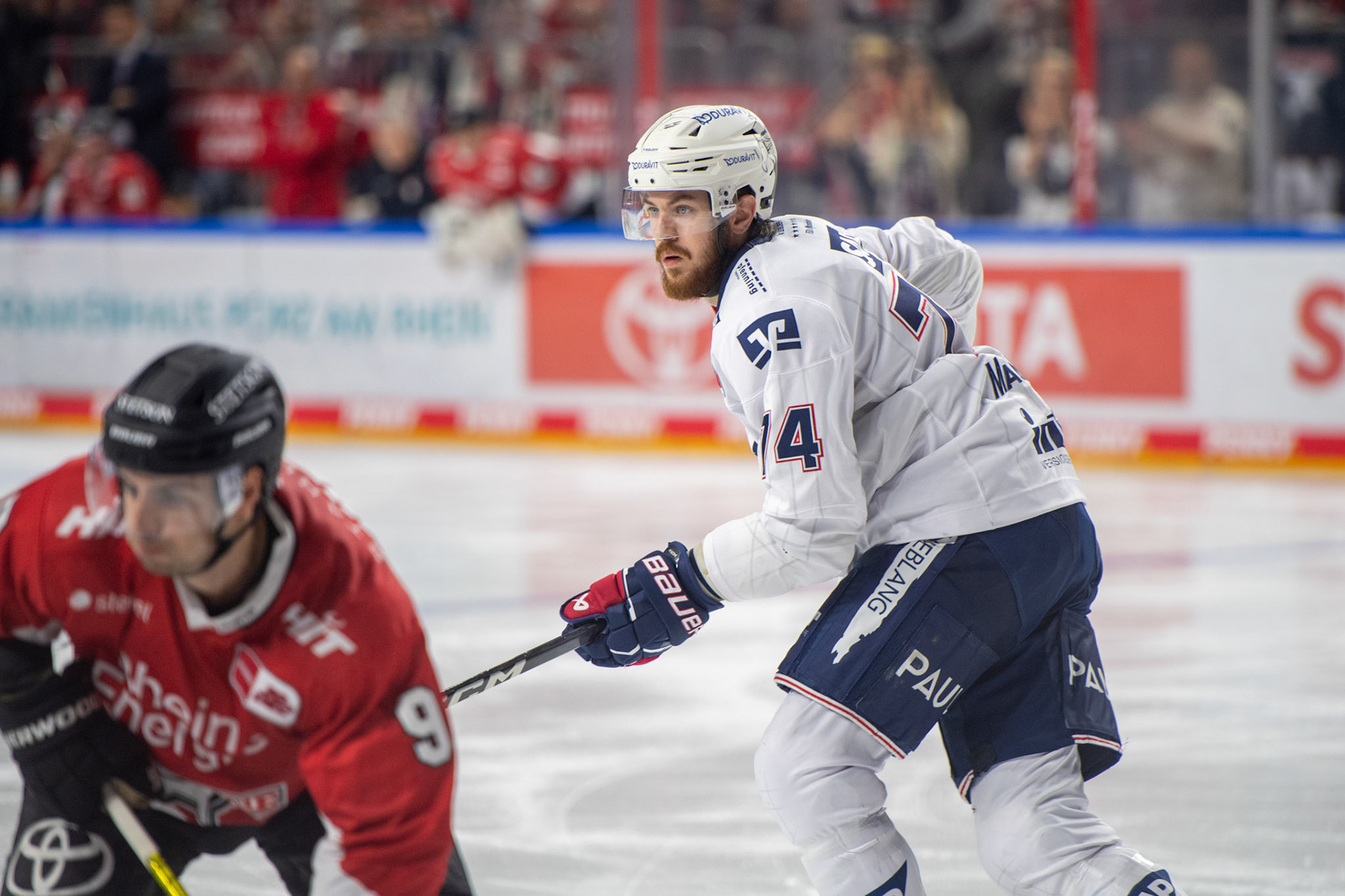 Ryan Macinnis; DEL Kölner Haie - Adler Mannheim, 30.09.2023