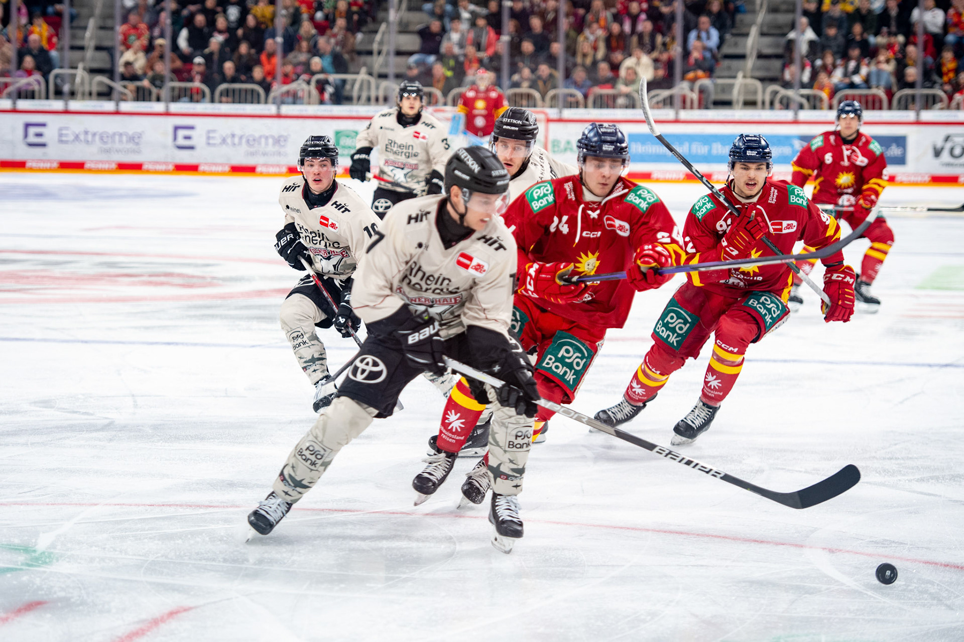 Jan Luca Sennhenn im Zweikampf mit Alexander Blank; DEL Düsseldorfer EG - Kölner Haie, 25.02.2024