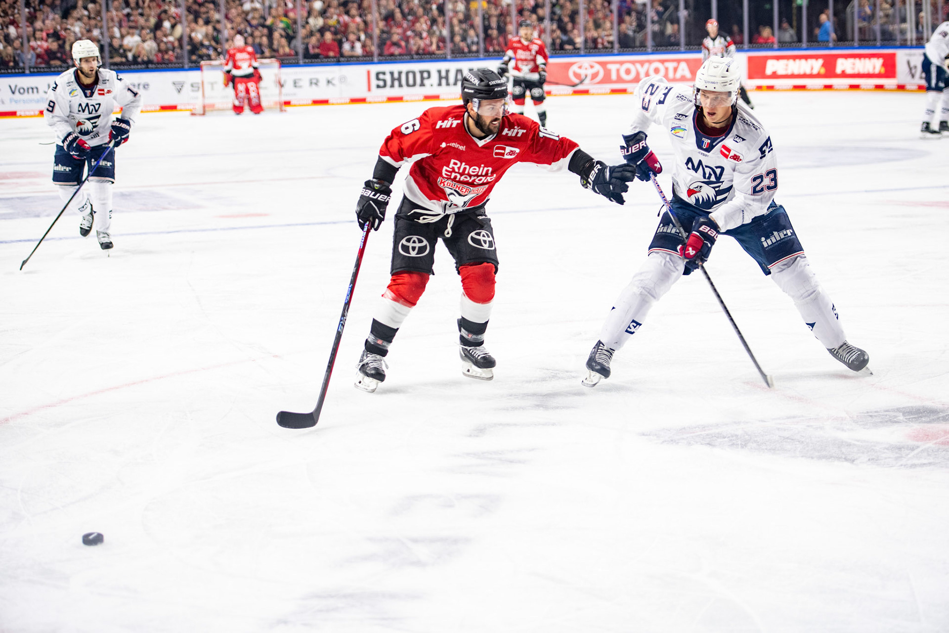 Jason Bast und Jyaki Jokipakka; DEL Kölner Haie - Adler Mannheim, 30.09.2023