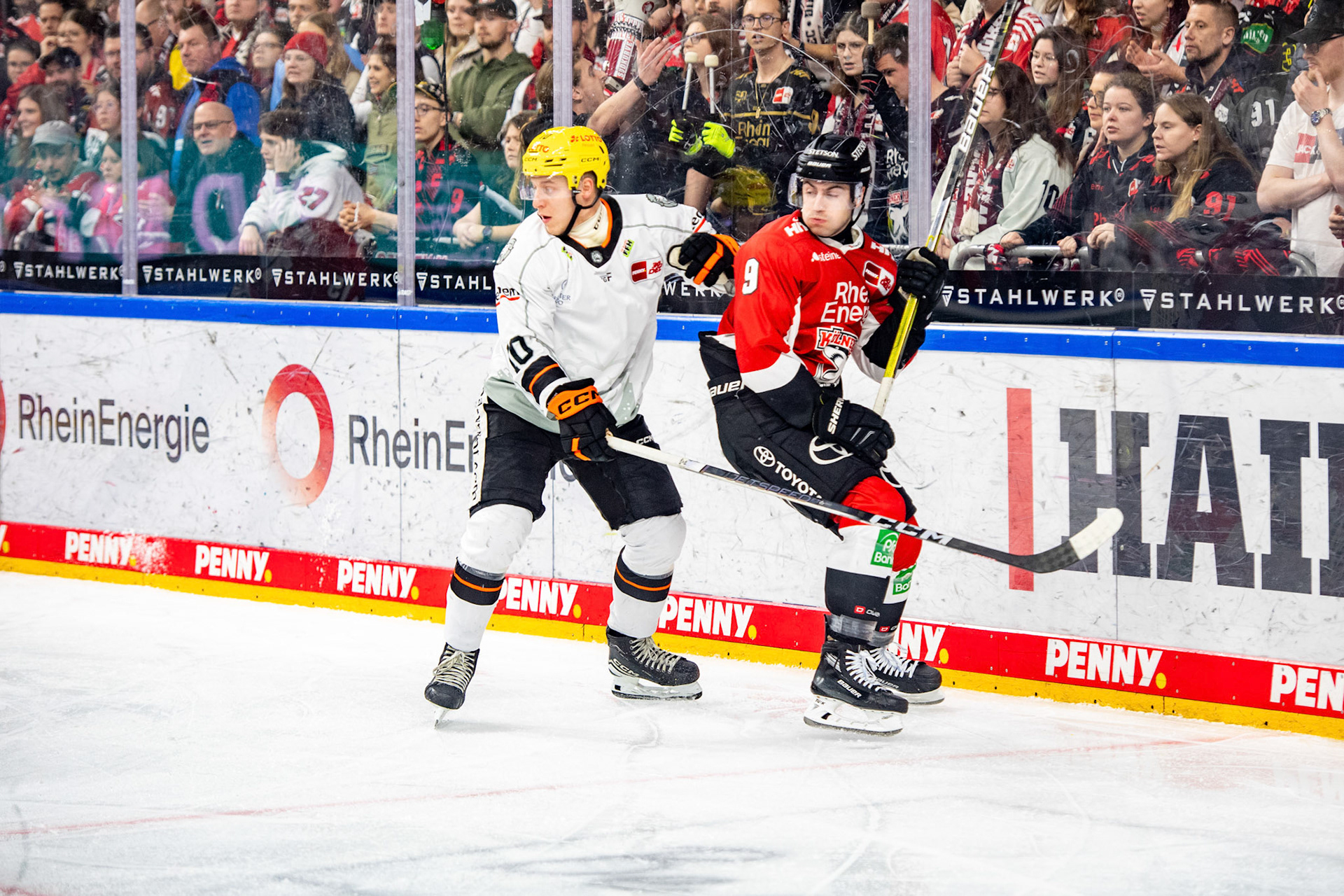 Maximilian Kammerer im Zweikampf mit Simon Gnyp; DEL Kölner Haie - Frankfurter Löwen, 16.02.2024