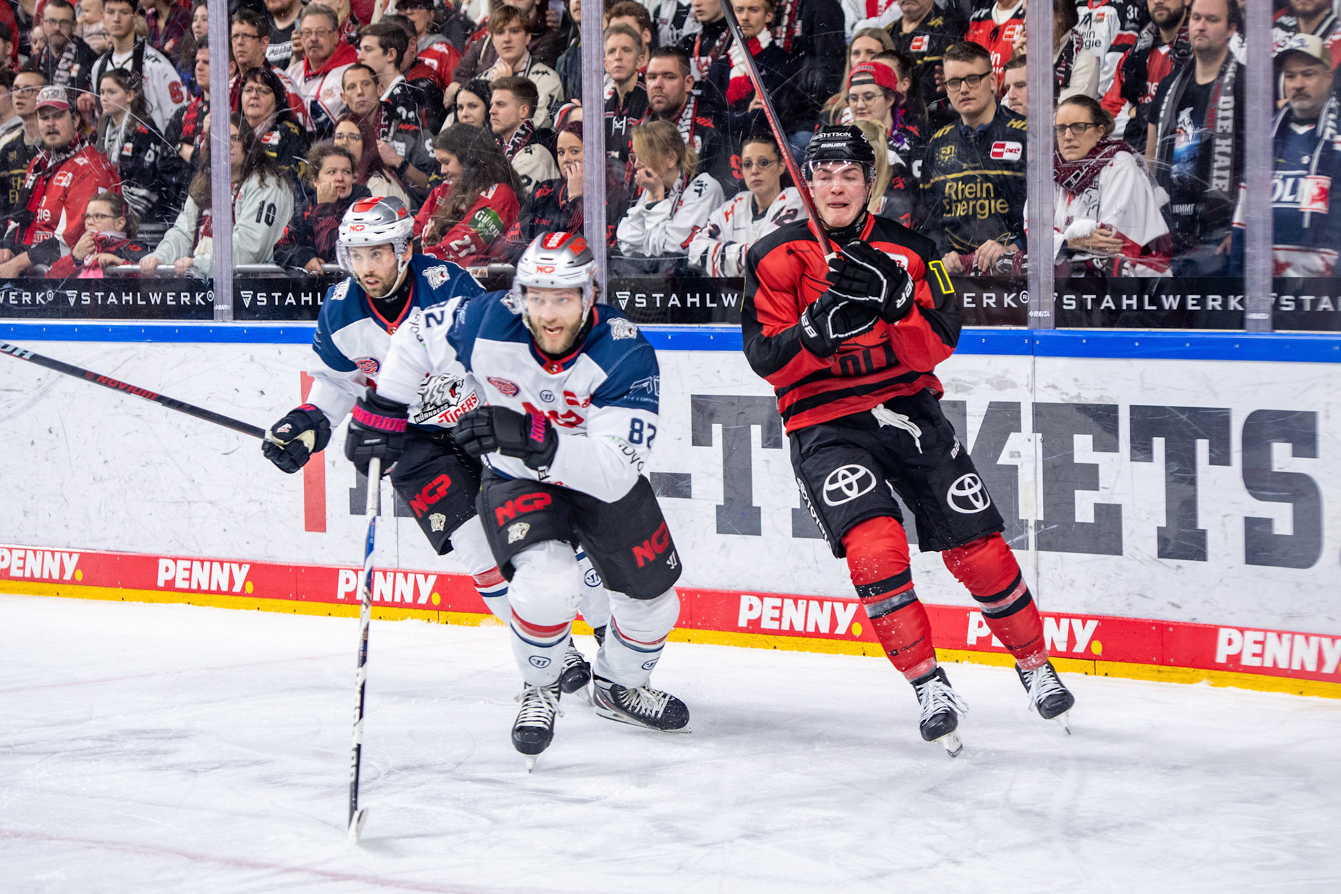 Justin Schuetz; DEL Kölner Haie - Nürnberg Ice Tigers, 17.12.2023