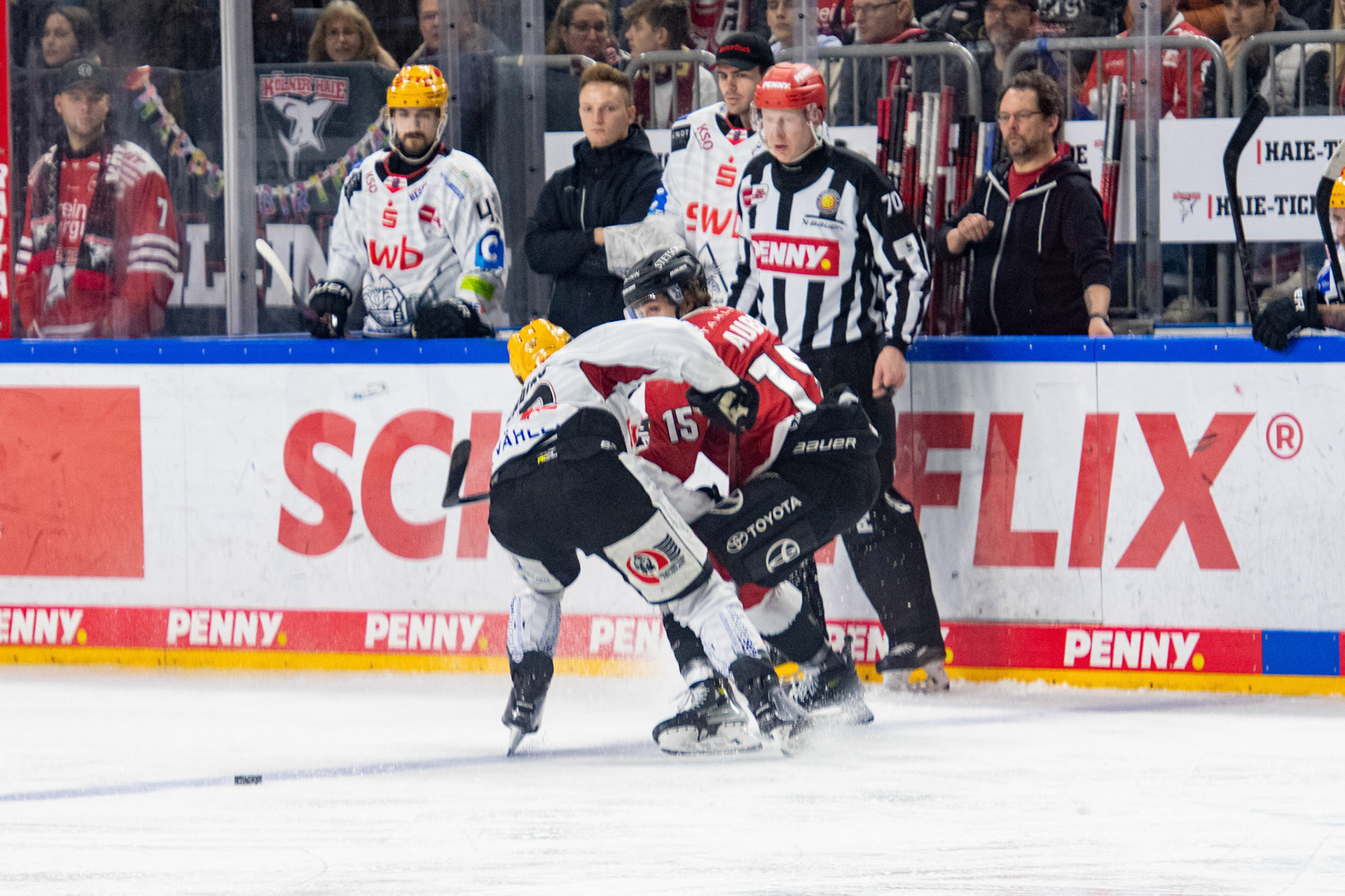 Louis Marc Aubry; DEL Kölner Haie - Fishtown Pinguins Bremerhaven, 30.01.2024
