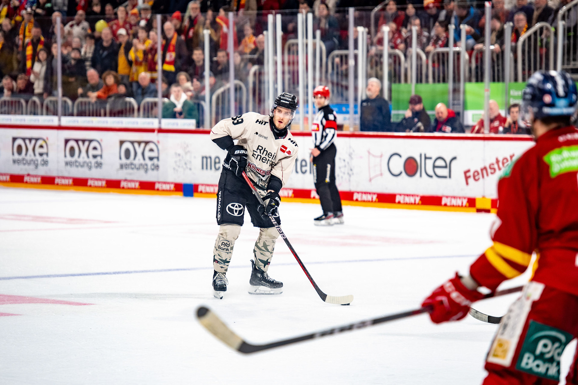 Gregor Macleod; DEL Düsseldorfer EG - Kölner Haie, 25.02.2024