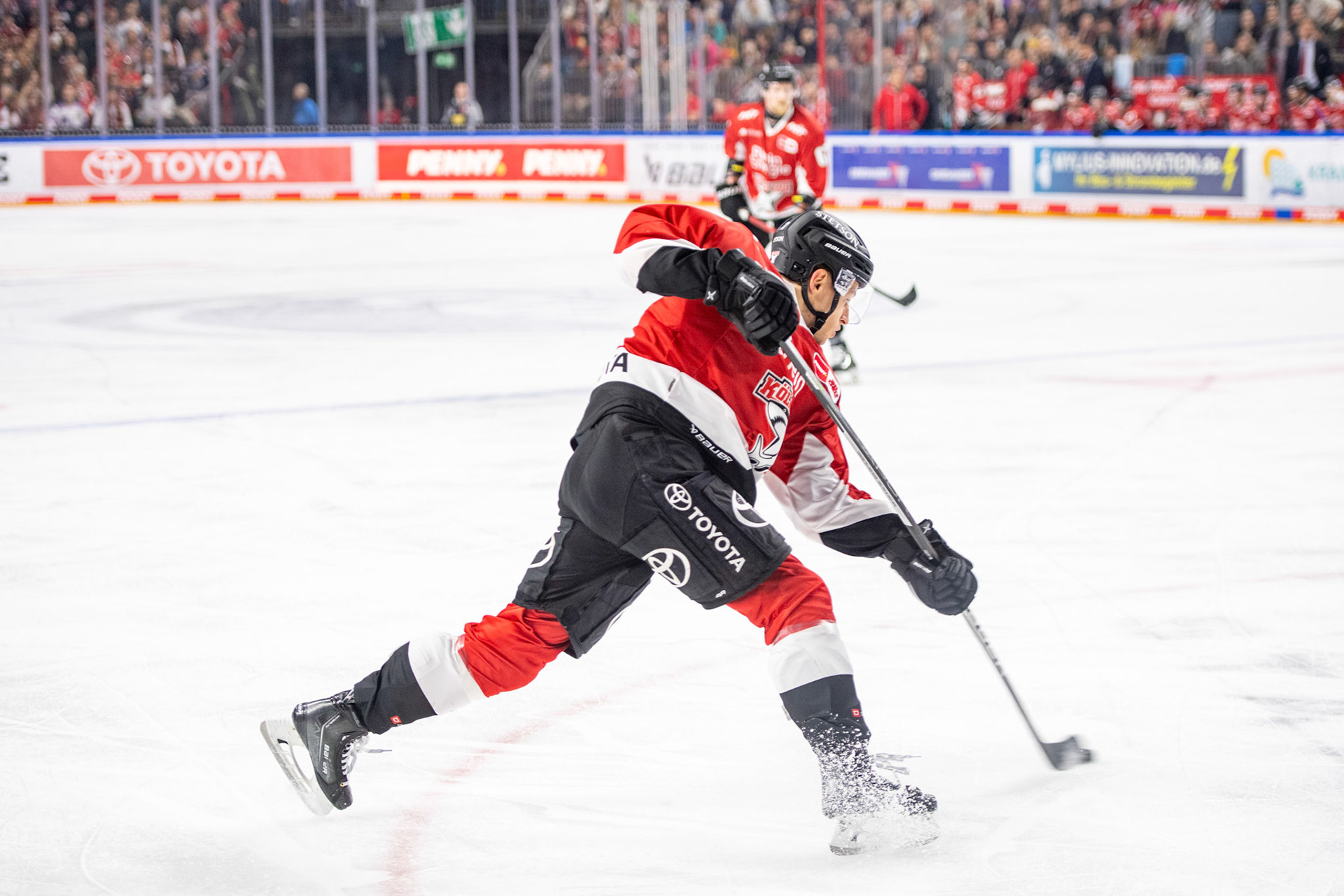 Maximilian Kammerer; DEL Kölner Haie - Augsburger Panther, 19.11.2023