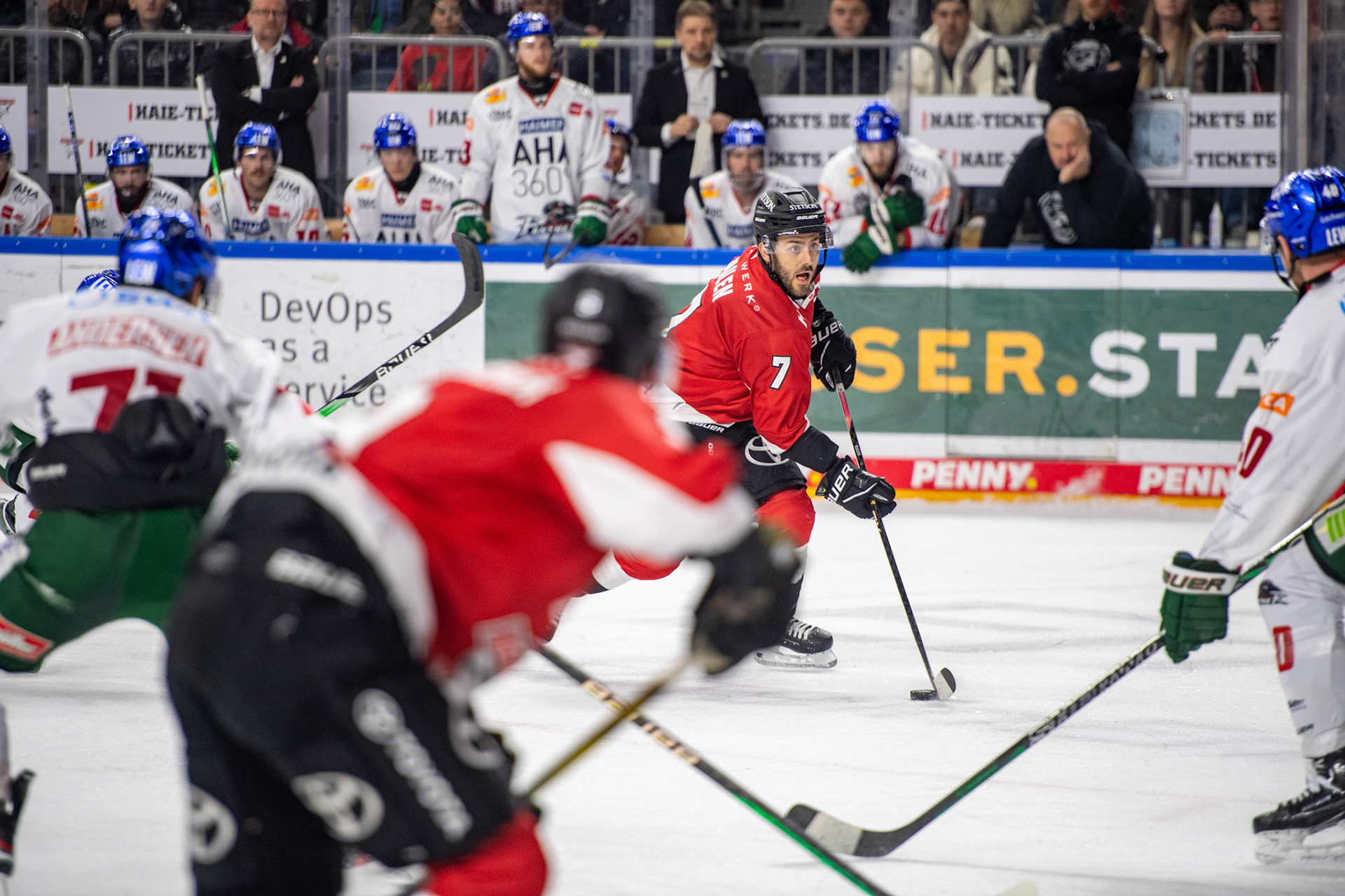 Nicholas Bailen; DEL Kölner Haie - Augsburger Panther, 19.11.2023