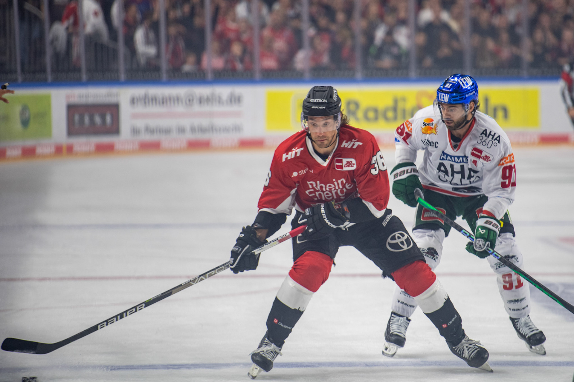 Andreas Thuresson; DEL Kölner Haie - Augsburger Panther, 03.10.2023