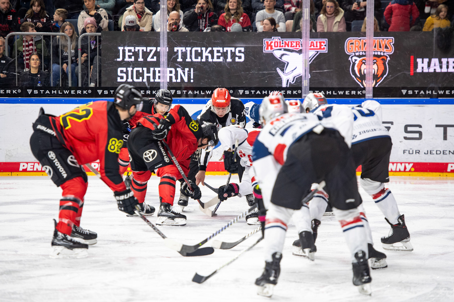 Koelner Haie; DEL Kölner Haie - Nürnberg Ice Tigers, 17.12.2023