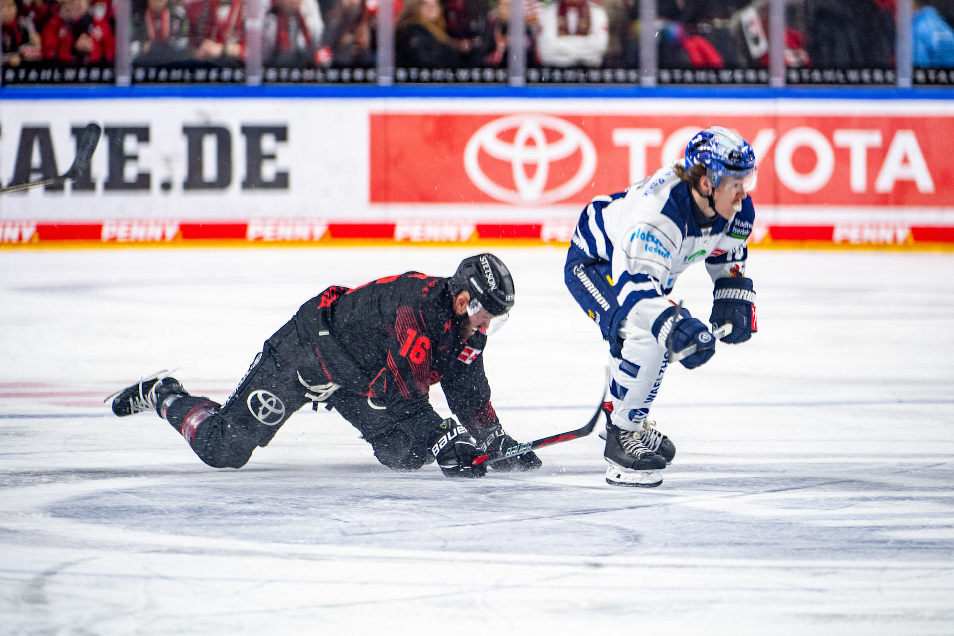Jason Bast geht im Zweikampf zu Boden; DEL Kölner Haie - Iserlohn Roosters, 13.02.2024