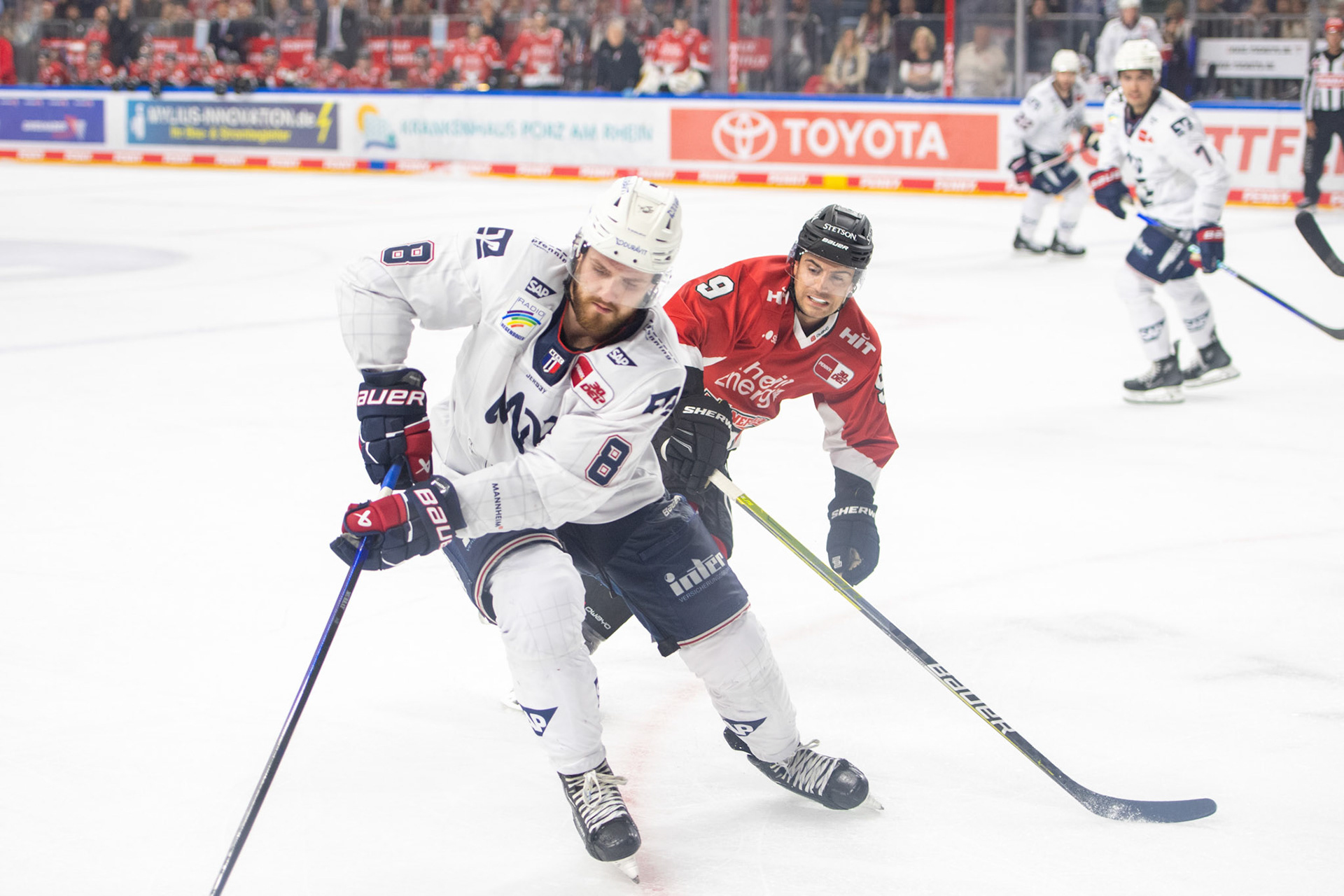 Jordan Murray und Maximilian Kammerer; DEL Kölner Haie - Adler Mannheim, 30.09.2023