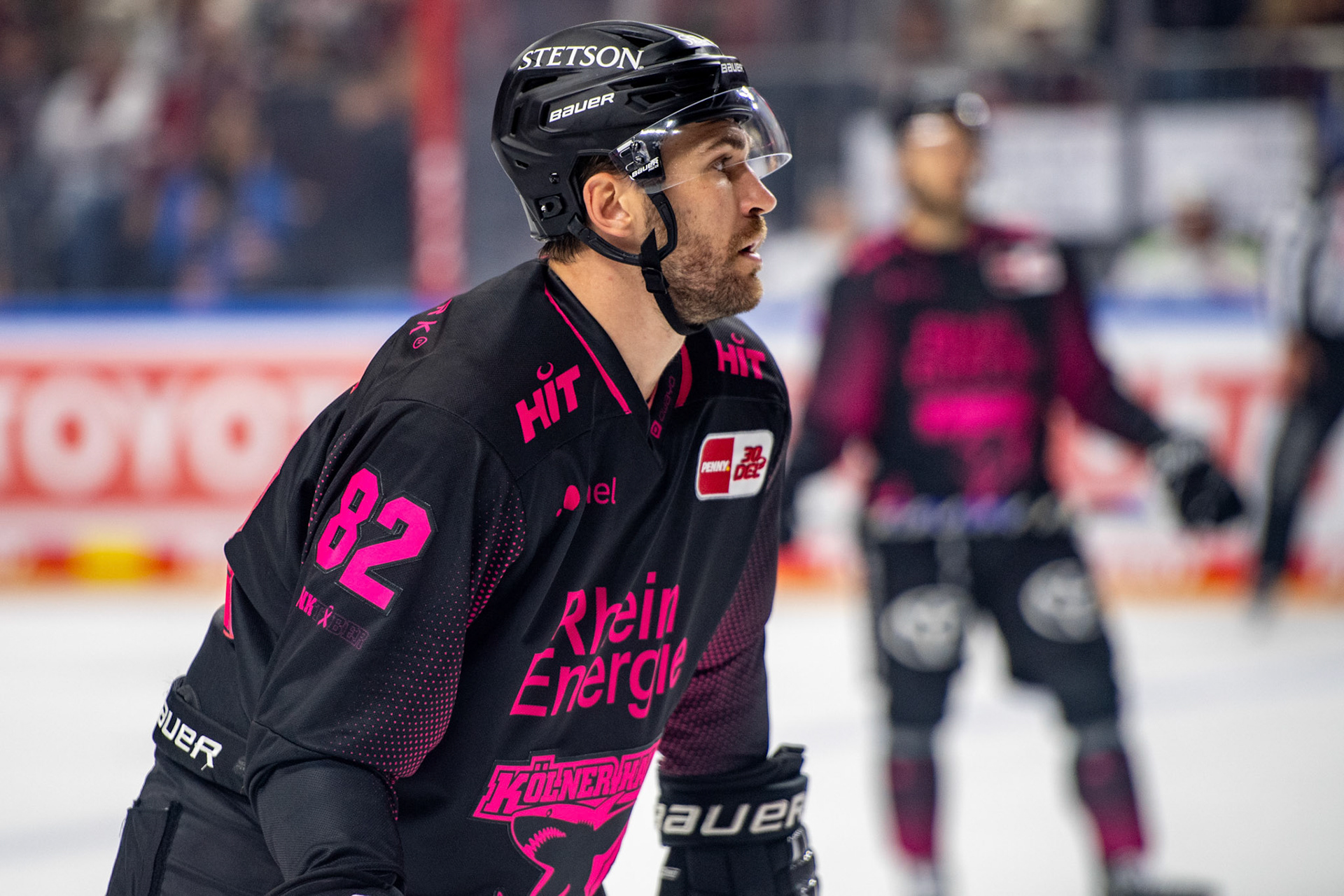 Alexandre Grenter; DEL Kölner Haie - Eisbaeren Berlin, 06.10.2023