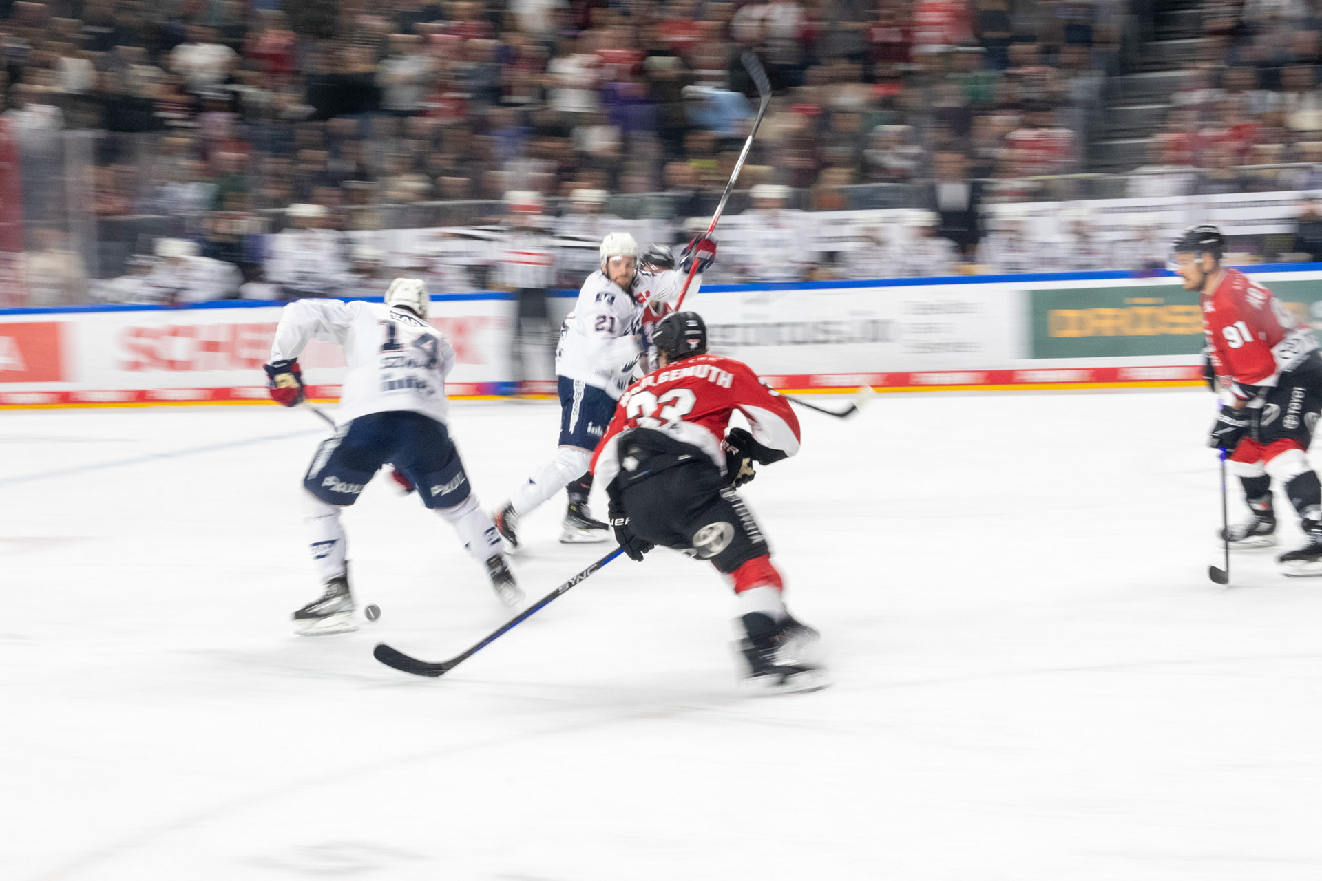 Tim Wohlgemuth; DEL Kölner Haie - Adler Mannheim, 30.09.2023