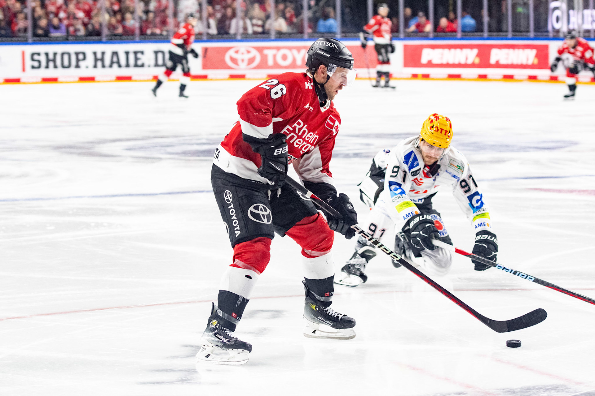 David Mcintyre, Miha Verlic; DEL Kölner Haie - Fishtown Pinguins Bremerhaven, 30.01.2024