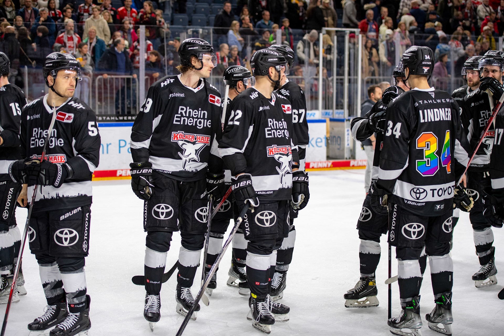 Koelner Haie; DEL Kölner Haie - Bremerhaven Fischtown Pinguins, 01.11.2023