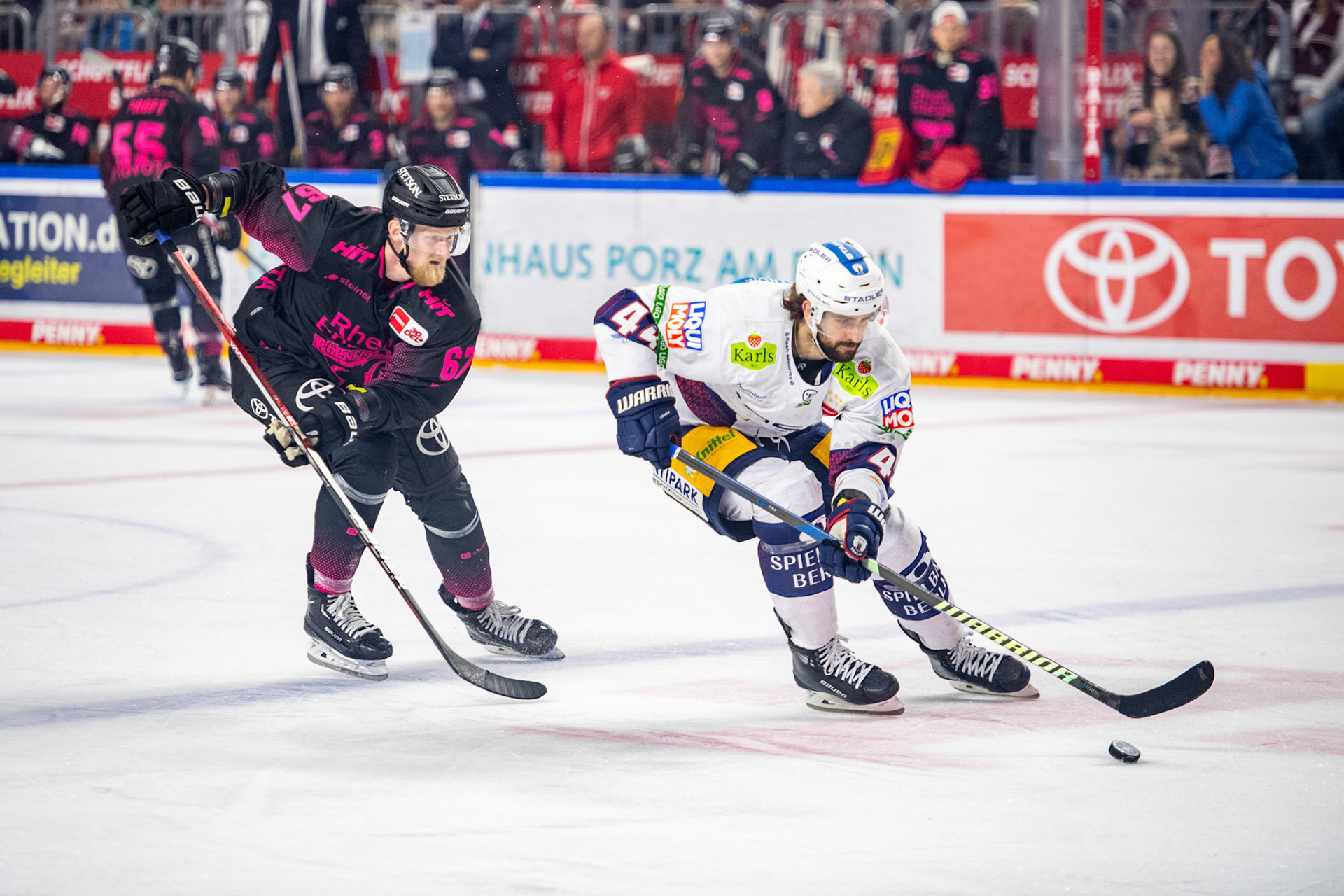 Julian Melchiori im Zweikampf mit Stanislav Dietz; DEL Kölner Haie - Eisbaeren Berlin, 06.10.2023