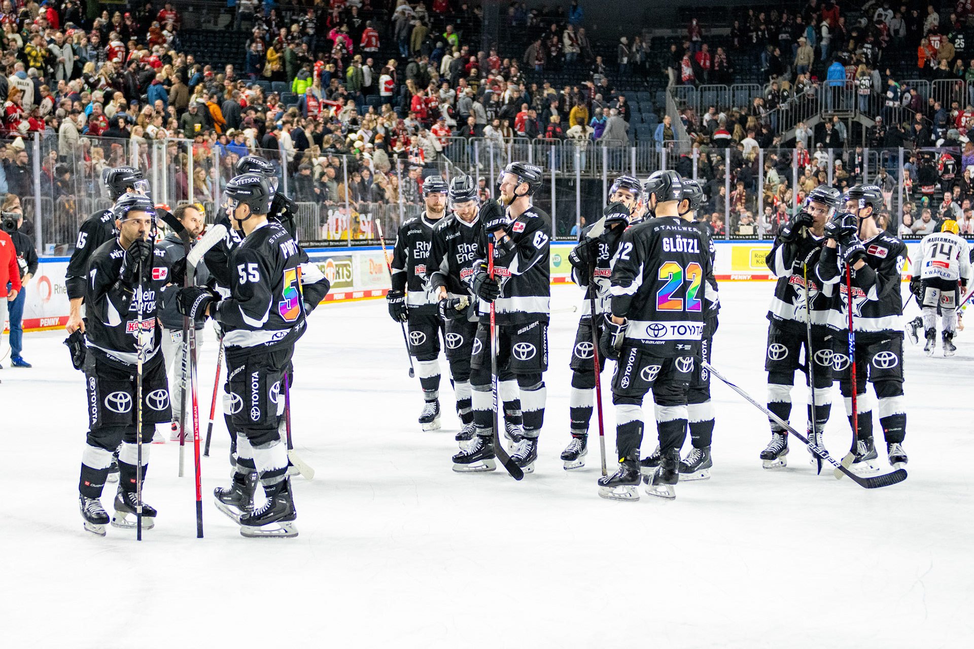 Koelner Haie; DEL Kölner Haie - Bremerhaven Fischtown Pinguins, 01.11.2023