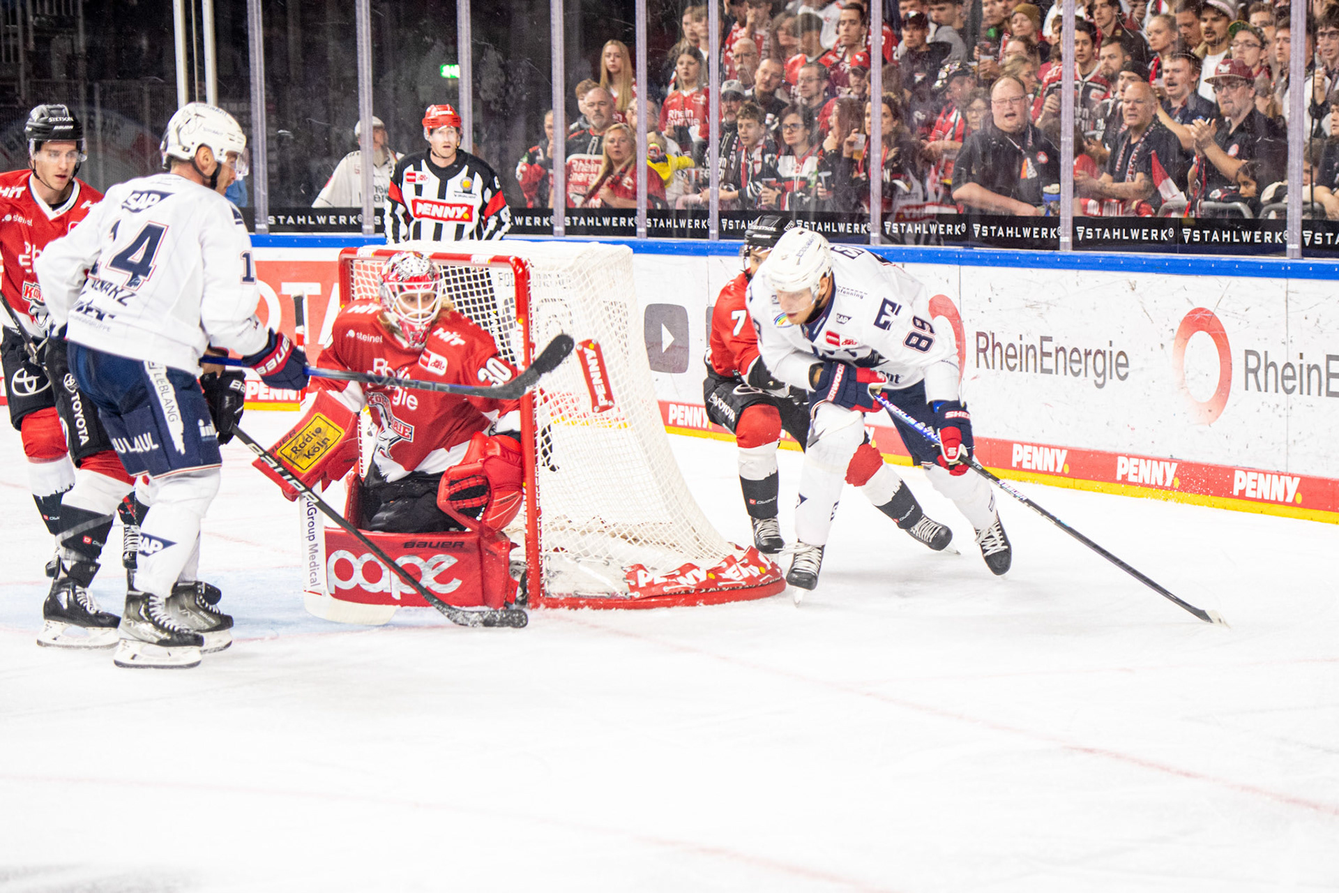 Mirko Pantkowski, David Wolf; DEL Kölner Haie - Adler Mannheim, 30.09.2023