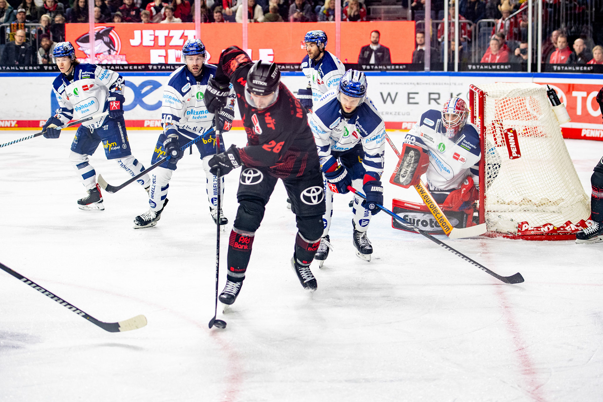David Mcintyre; DEL Kölner Haie - Iserlohn Roosters, 13.02.2024