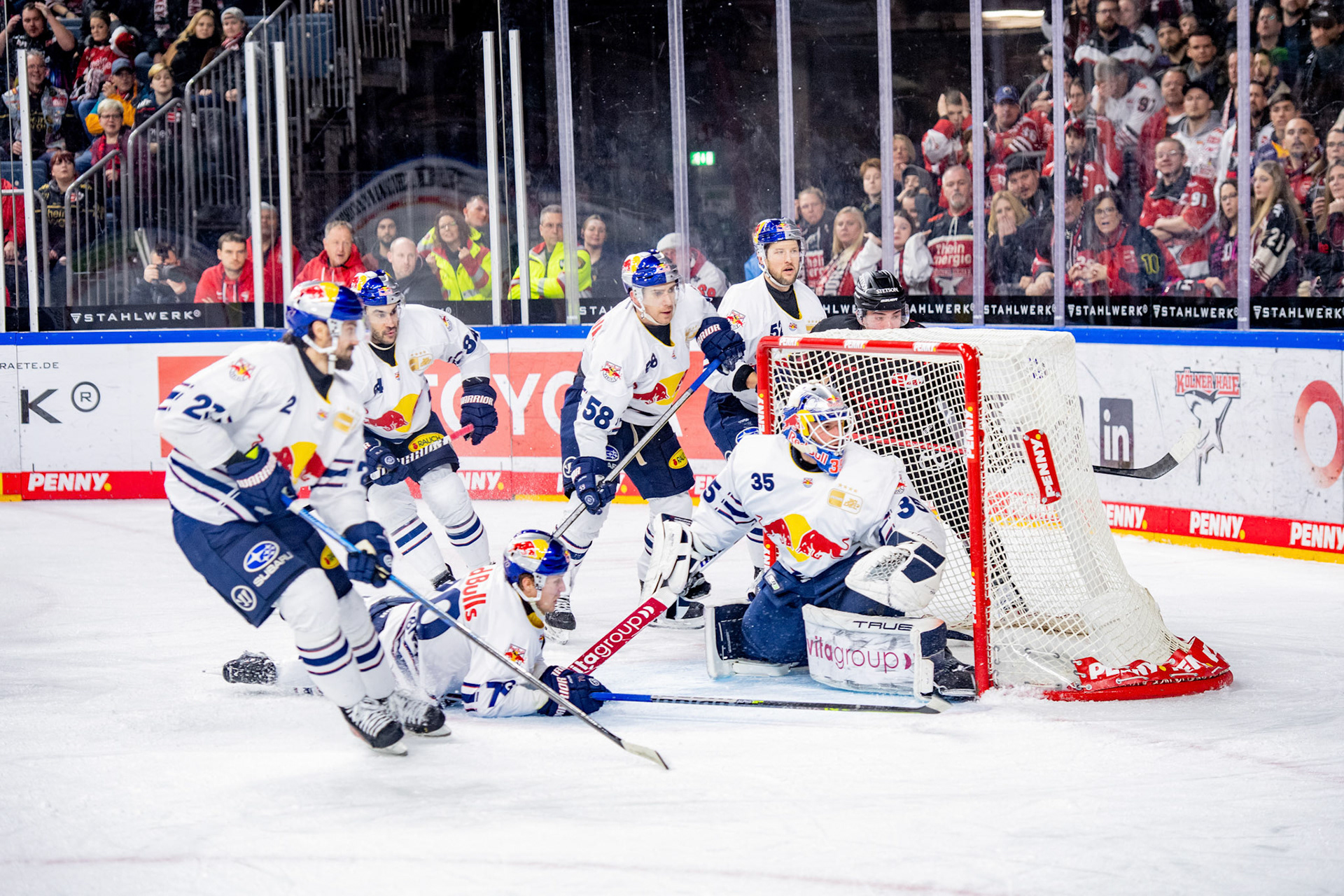 Mathias Niederberger, Ryan McKiernan; DEL Kölner Haie - EHC Red Bull München, 05.01.2024