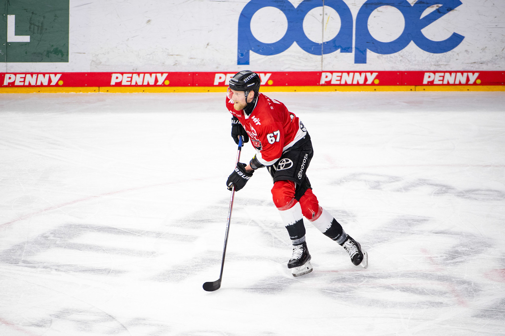 Stanislav Dietz; DEL Kölner Haie - Fishtown Pinguins Bremerhaven, 30.01.2024