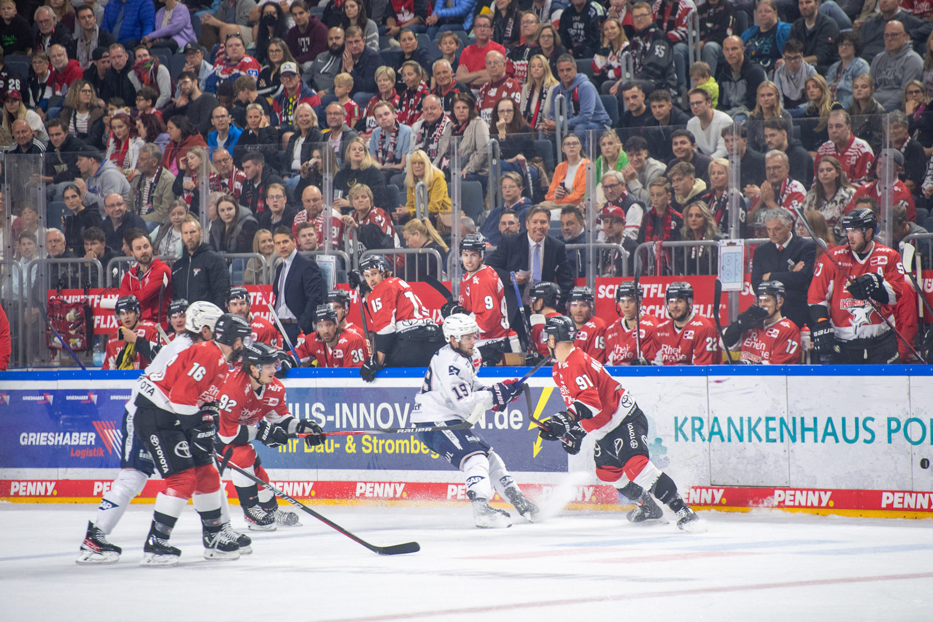 Linden Vey, Moritz Mueller; DEL Kölner Haie - Adler Mannheim, 30.09.2023