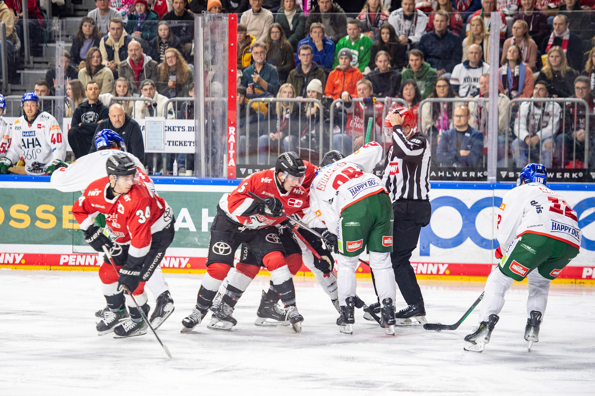Koelner Haie; DEL Kölner Haie - Augsburger Panther, 19.11.2023