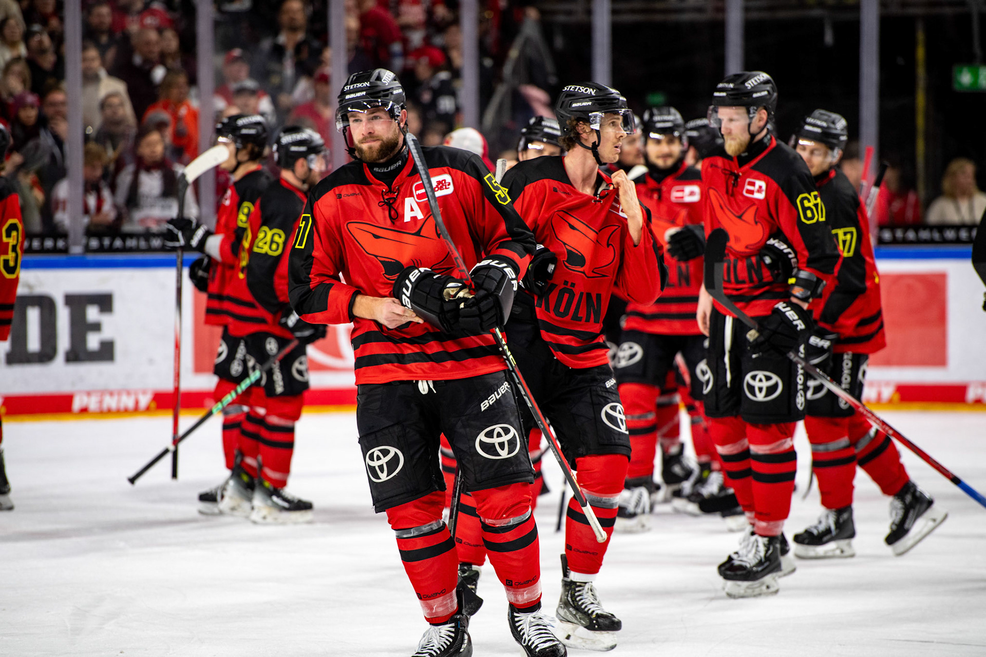 Koelner Haie; DEL Kölner Haie - Nürnberg Ice Tigers, 17.12.2023