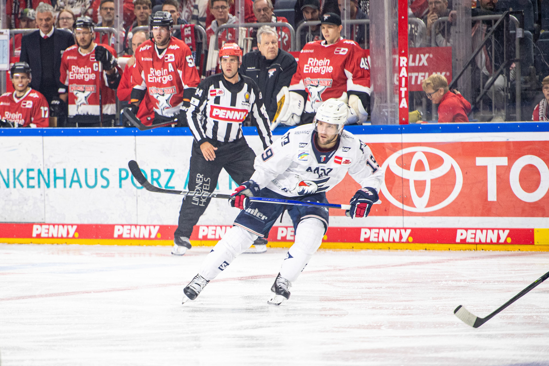 Linden Vey; DEL Kölner Haie - Adler Mannheim, 30.09.2023