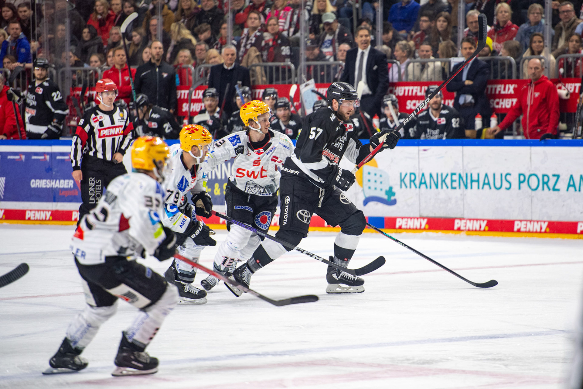 Brady Austin; DEL Kölner Haie - Bremerhaven Fischtown Pinguins, 01.11.2023