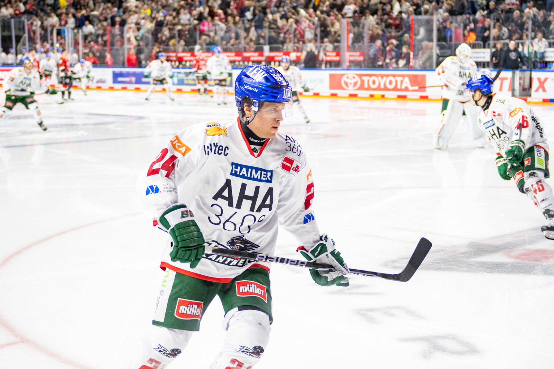 T.J. Trevelyan; DEL Kölner Haie - Augsburger Panther, 19.11.2023