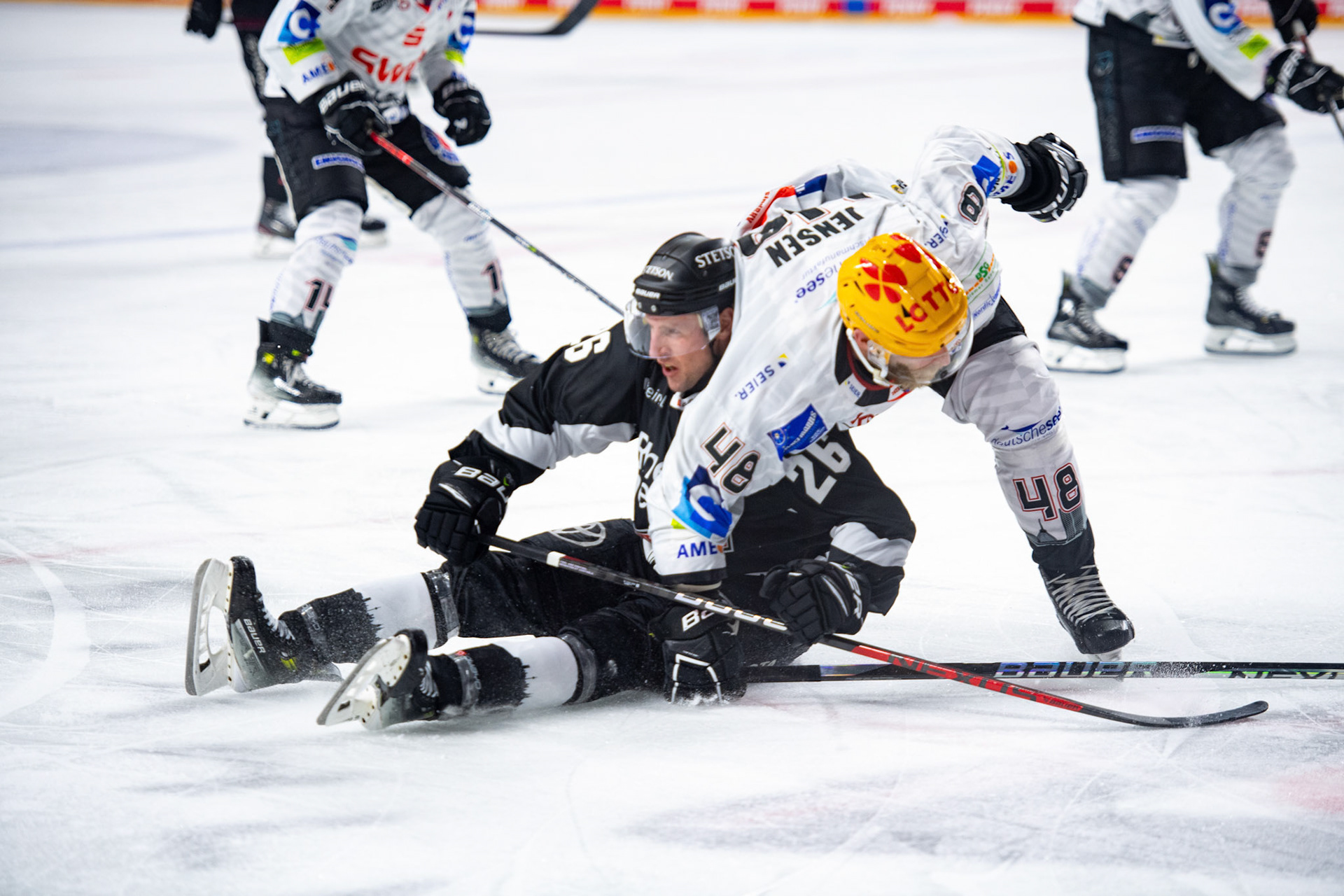 David Mcintyre im Zweikampf mit Nicholas B. Jensen; DEL Kölner Haie - Bremerhaven Fischtown Pinguins, 01.11.2023
