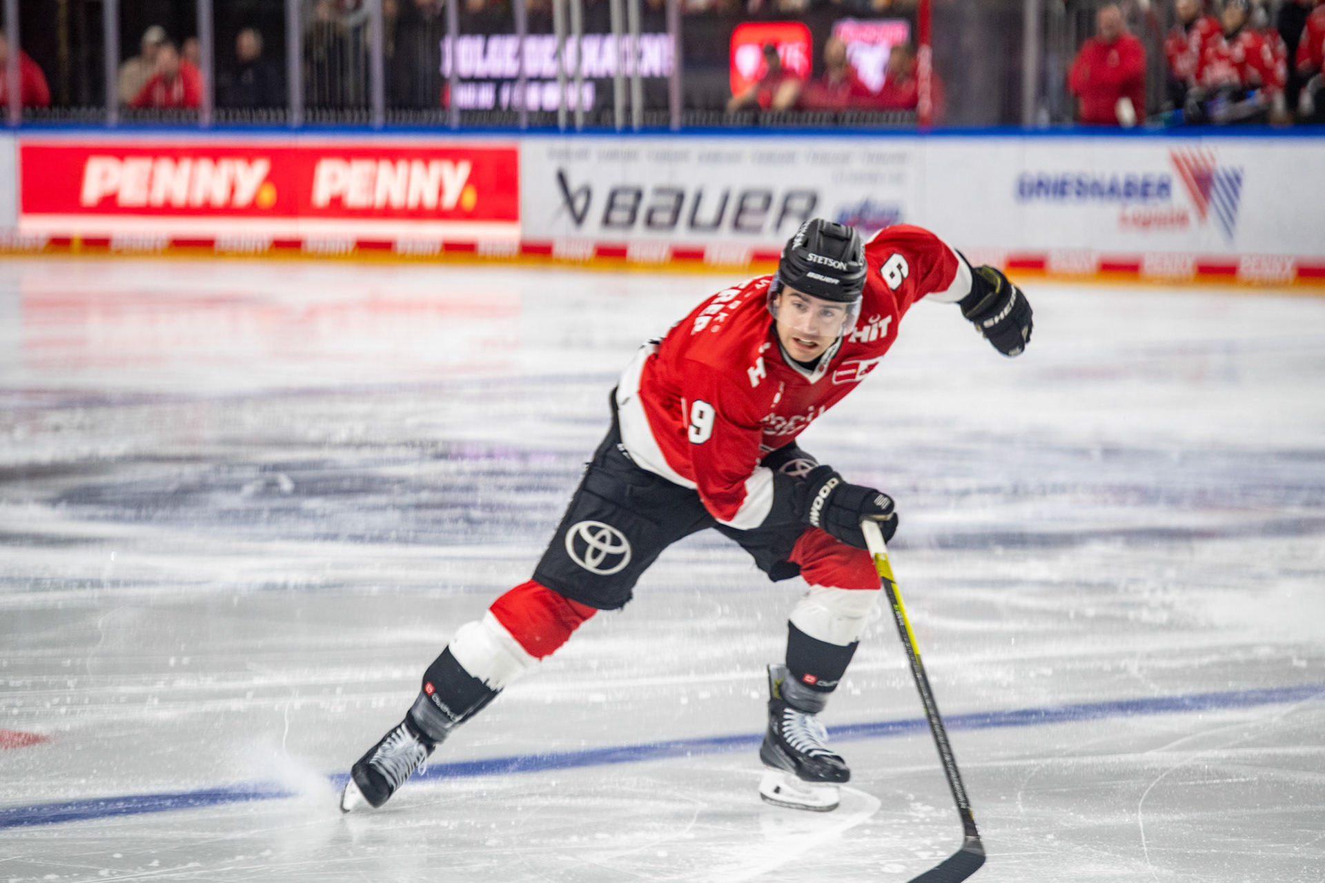 Maximilian Kammerer; DEL Kölner Haie - Fishtown Pinguins Bremerhaven, 30.01.2024