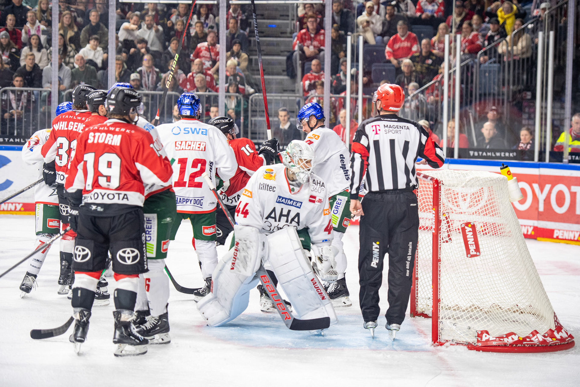 Koelner Haie; DEL Kölner Haie - Augsburger Panther, 19.11.2023