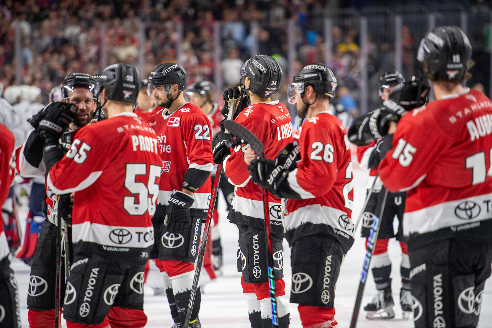 Koelner Haie; DEL Kölner Haie - Adler Mannheim, 30.09.2023